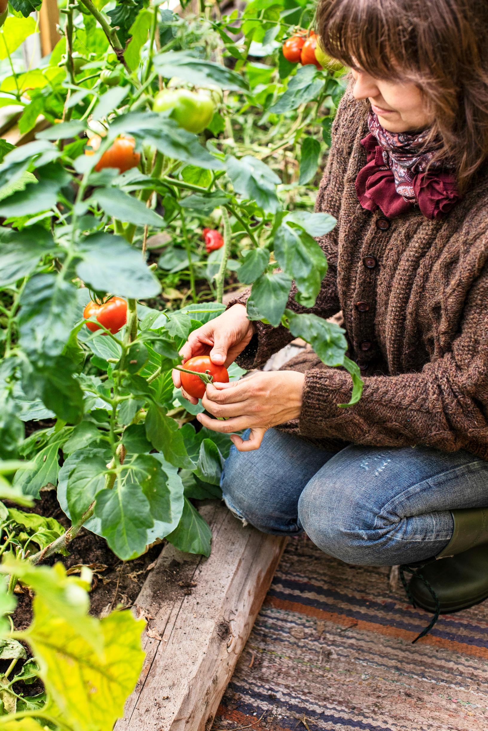 vegan garden