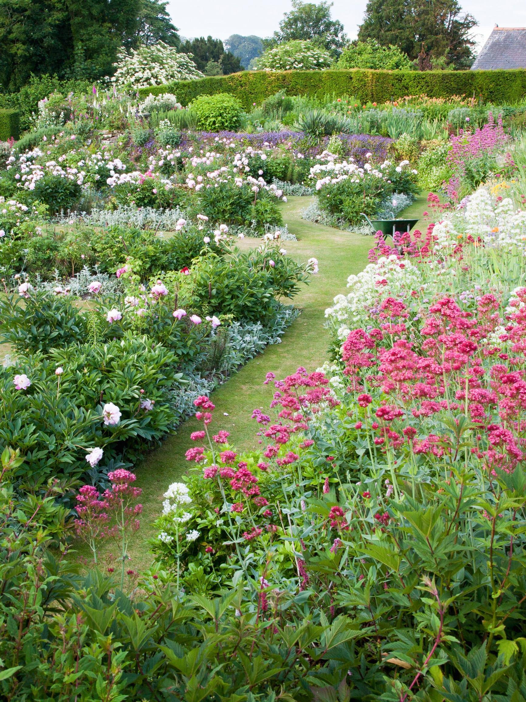 How to use perennials like a garden pro
