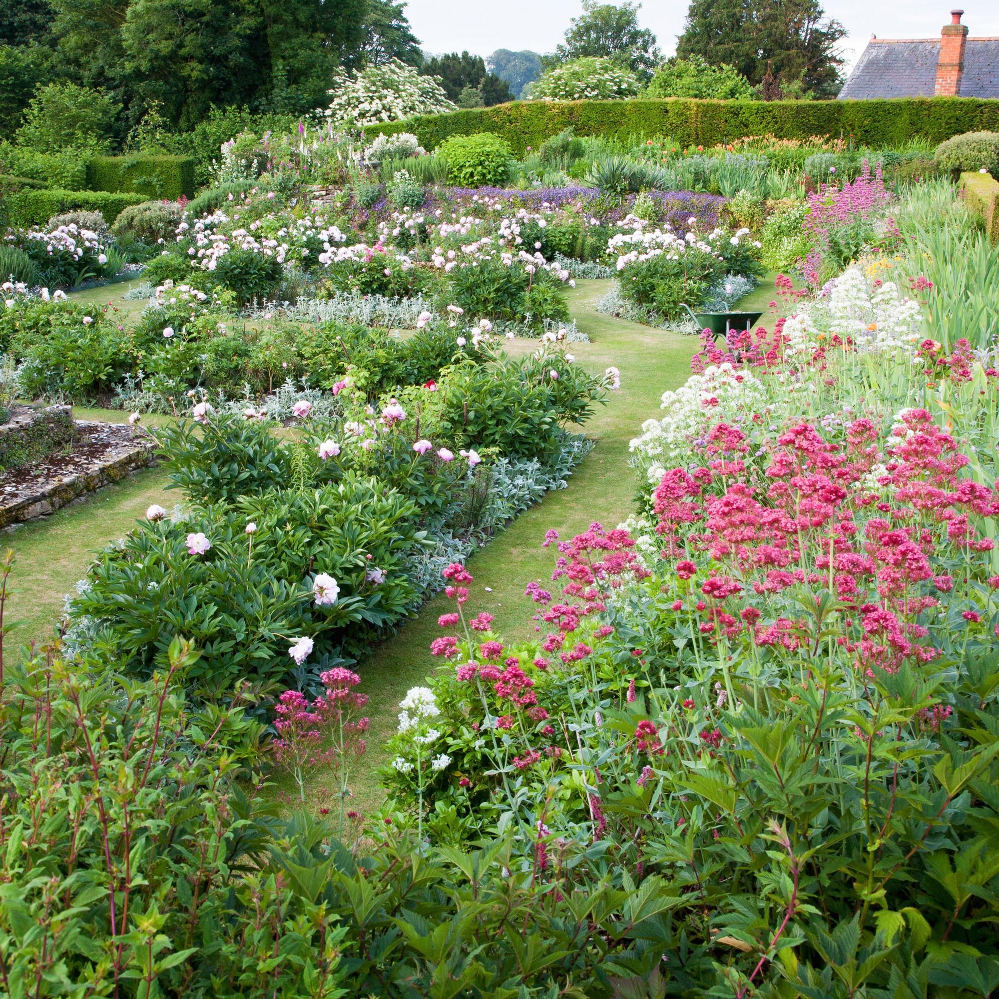 How to use perennials like a garden pro