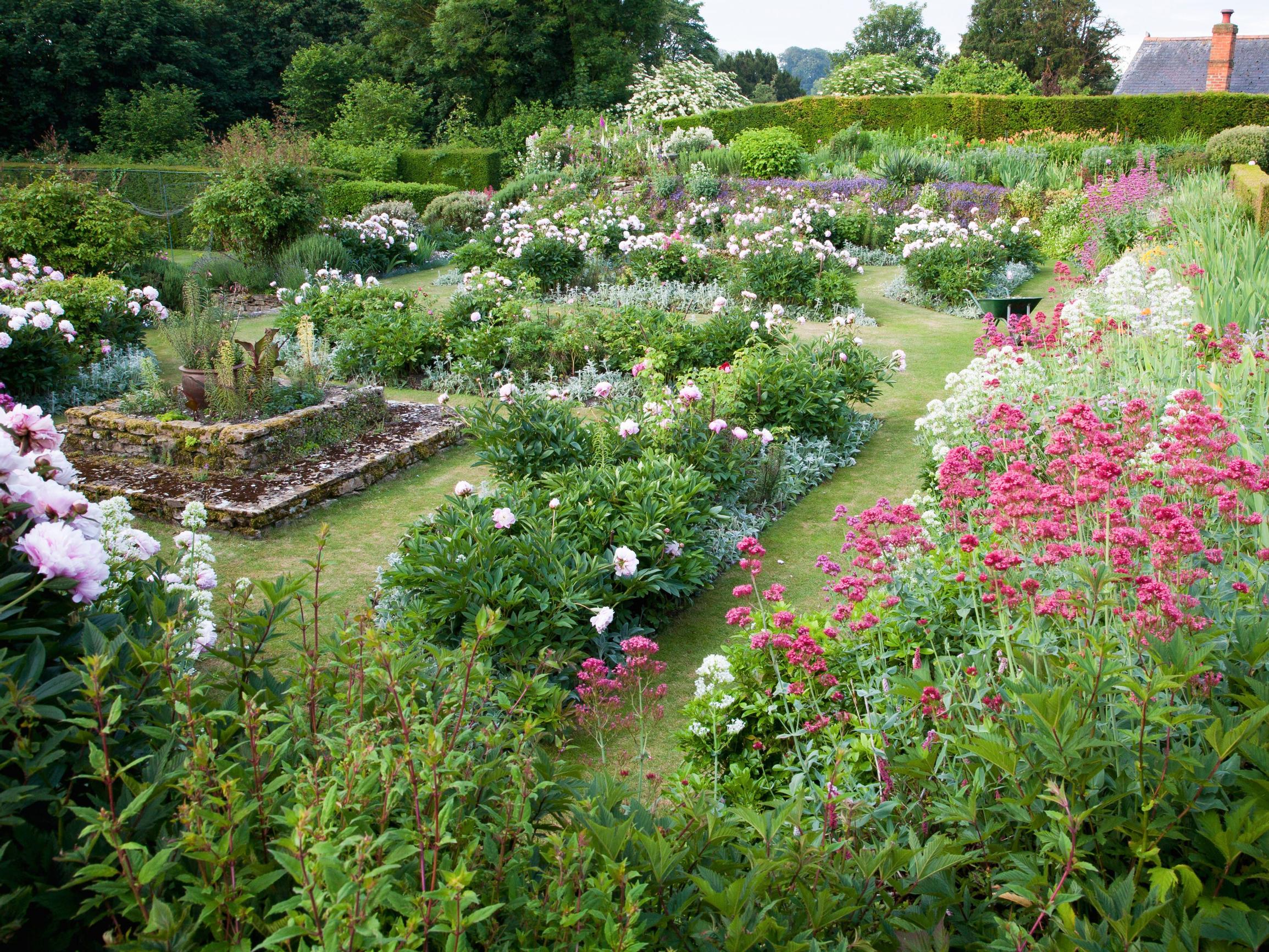 How to use perennials like a garden pro