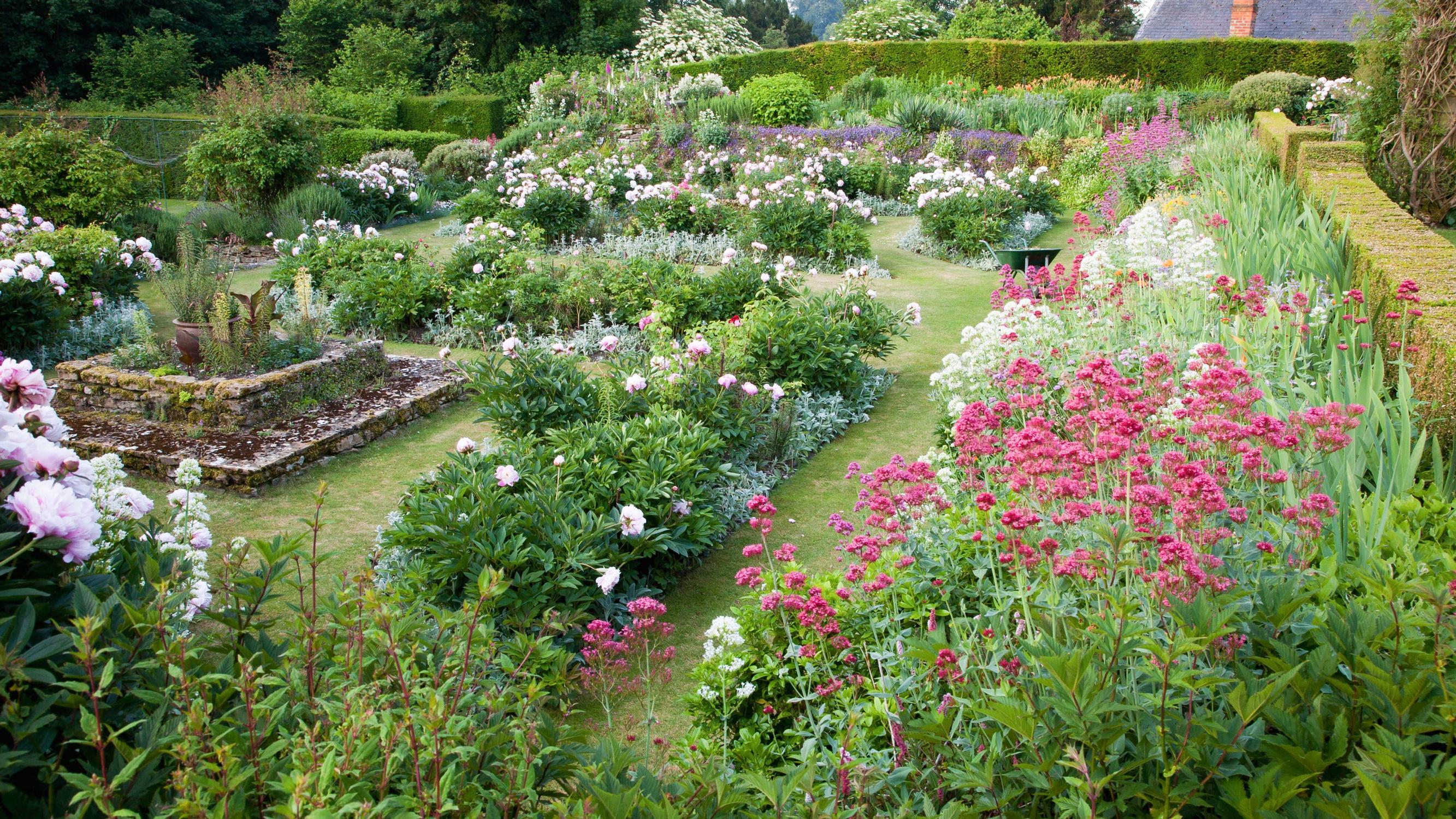 How to use perennials like a garden pro