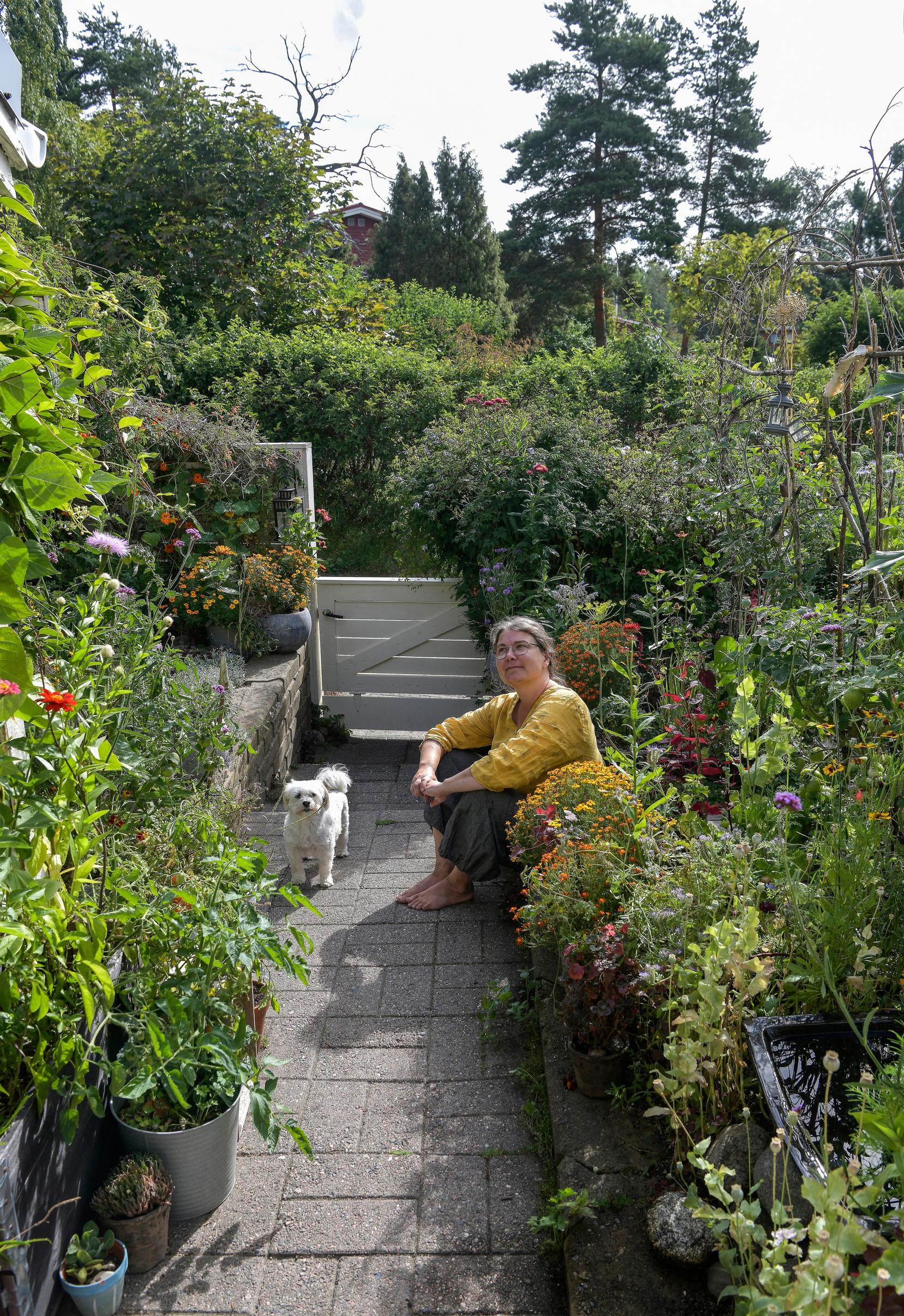 A paved path divides the front yard into two parts. Karoliina and Haiku the dog.