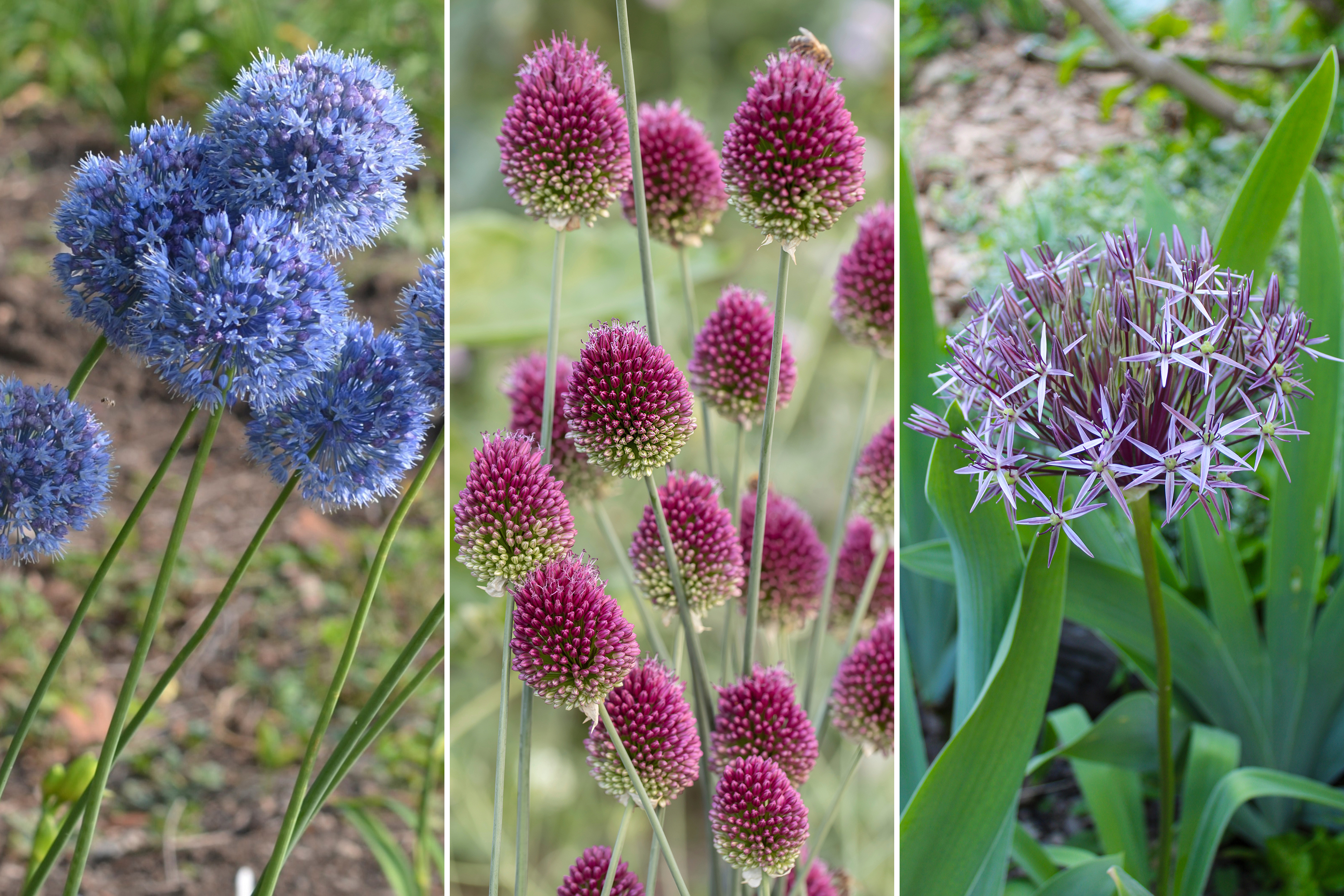 korkeatlaukat__1__loXHo.jpg?w=