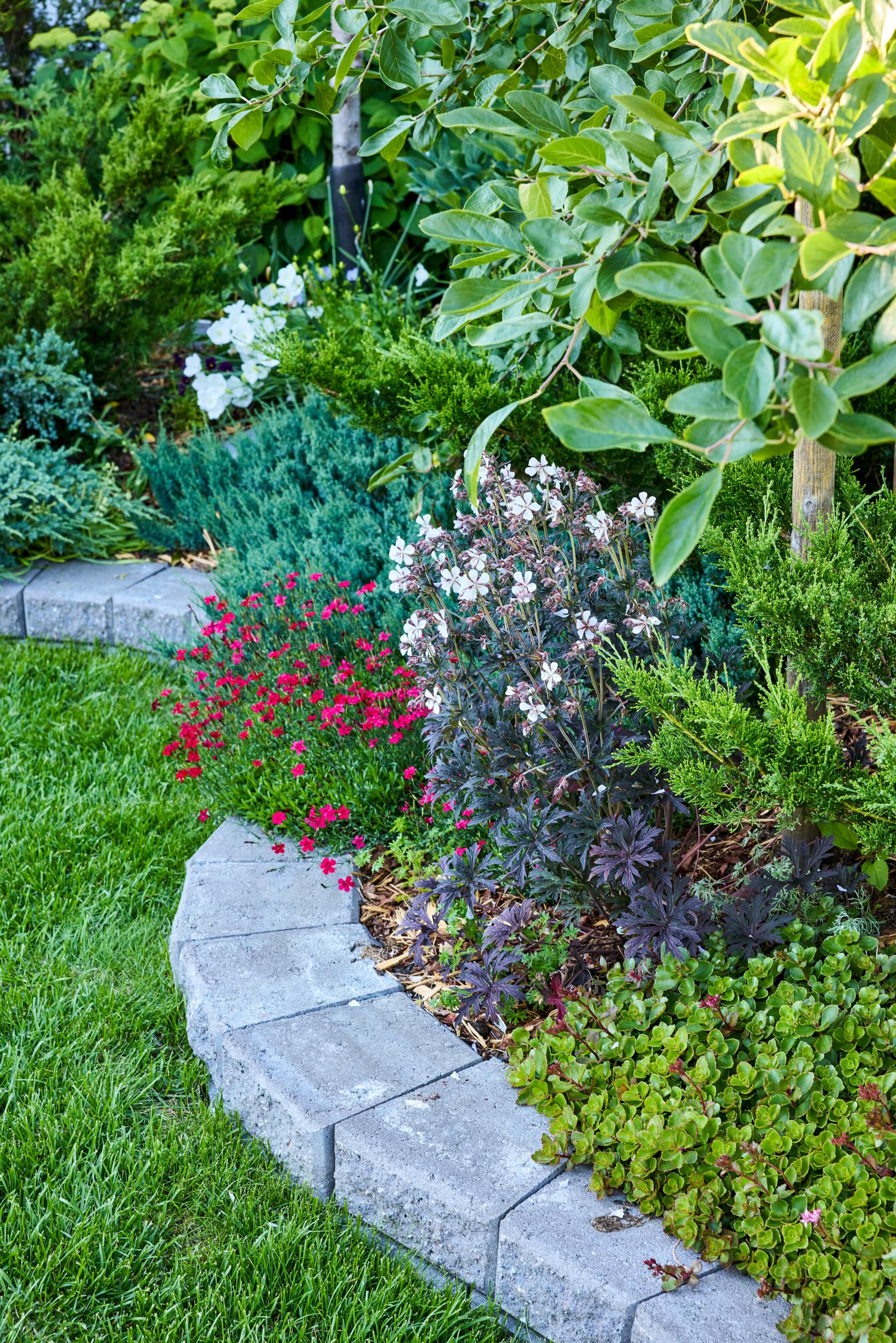 500-square-meter yard, flowerbed edge
