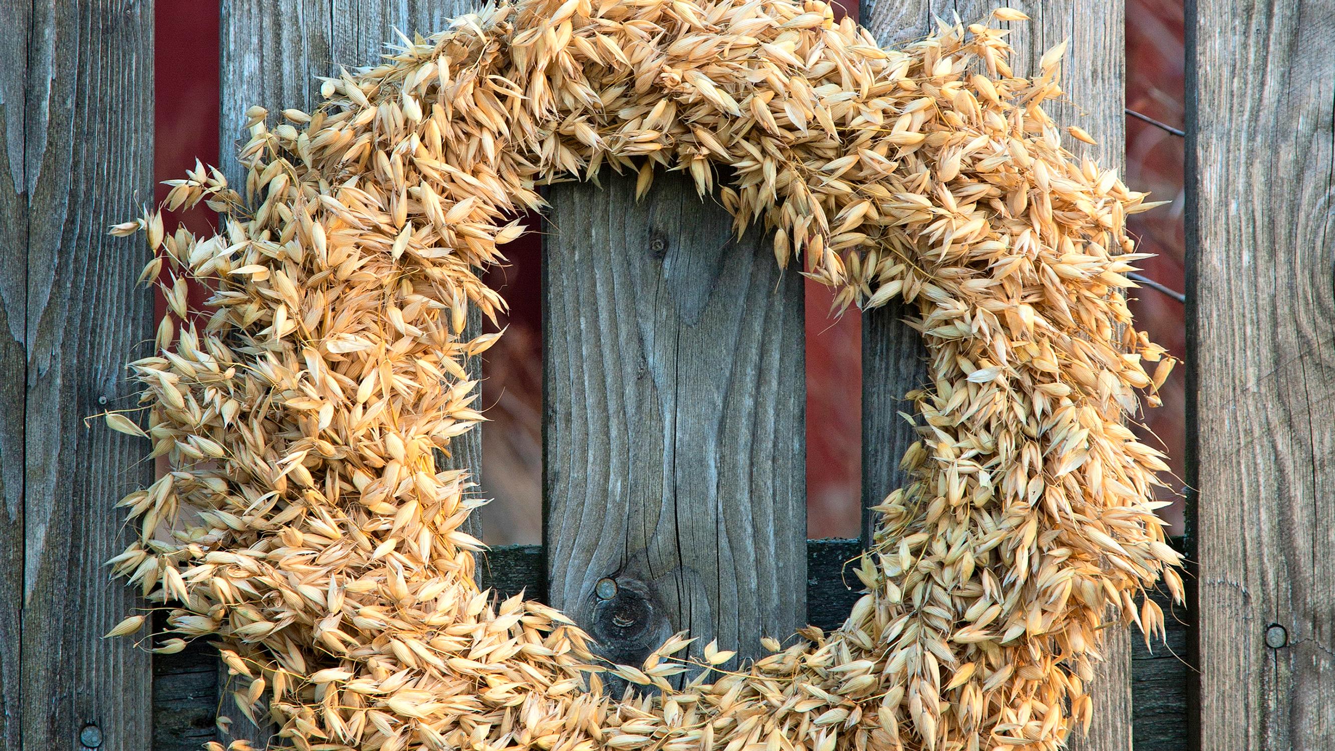 Make a bountiful oat sheaf wreath that keeps winter birds well fed