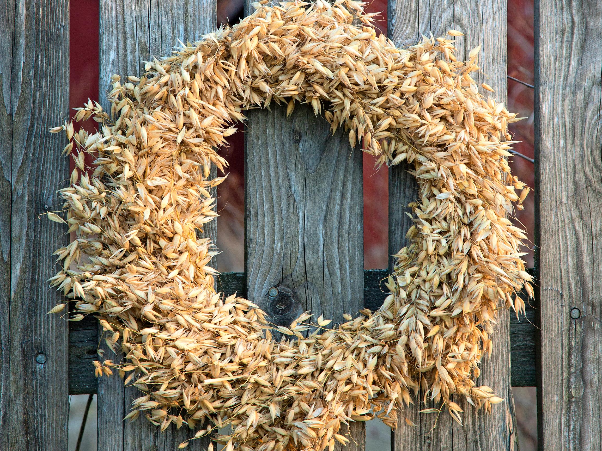 Make a bountiful oat sheaf wreath that keeps winter birds well fed