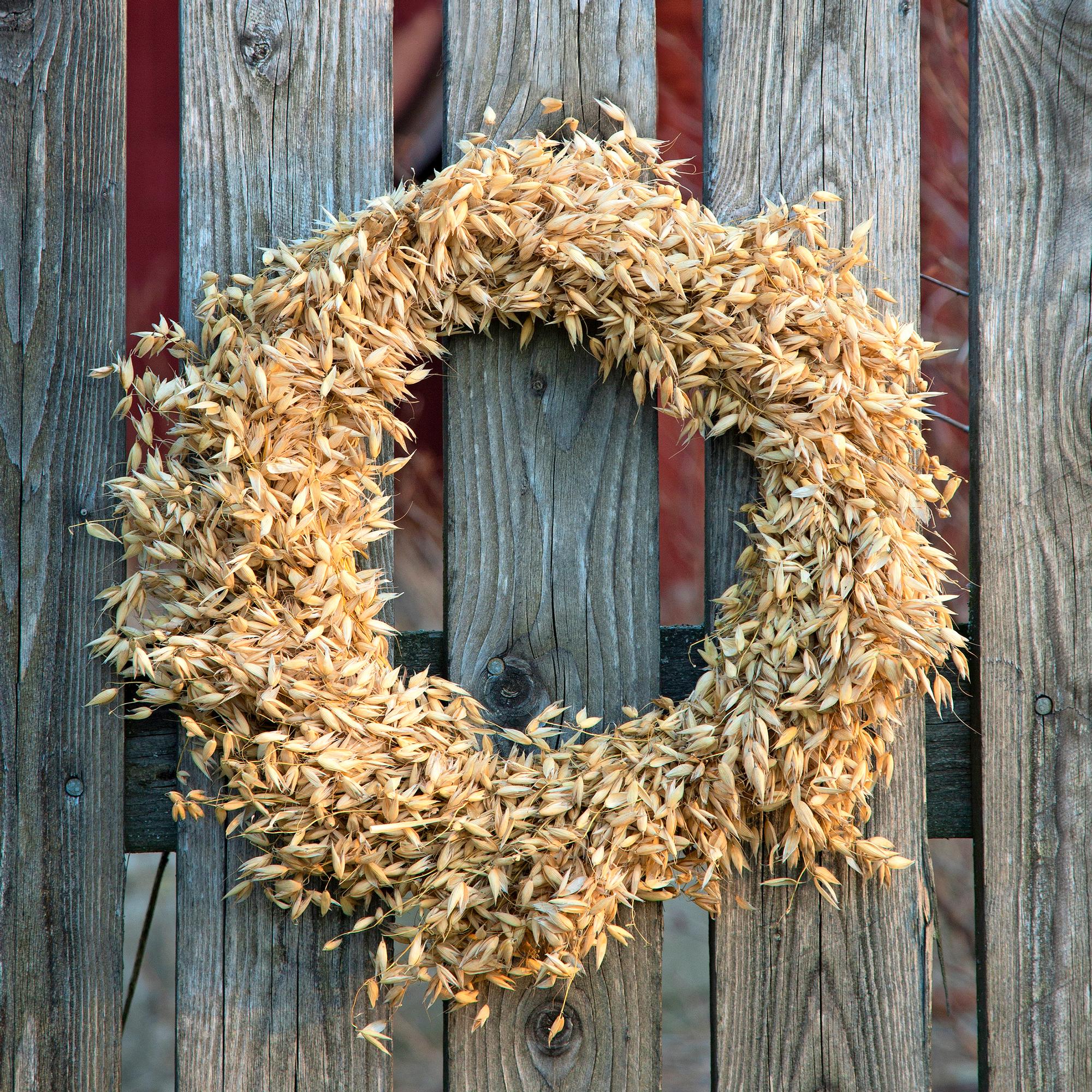 Make a bountiful oat sheaf wreath that keeps winter birds well fed