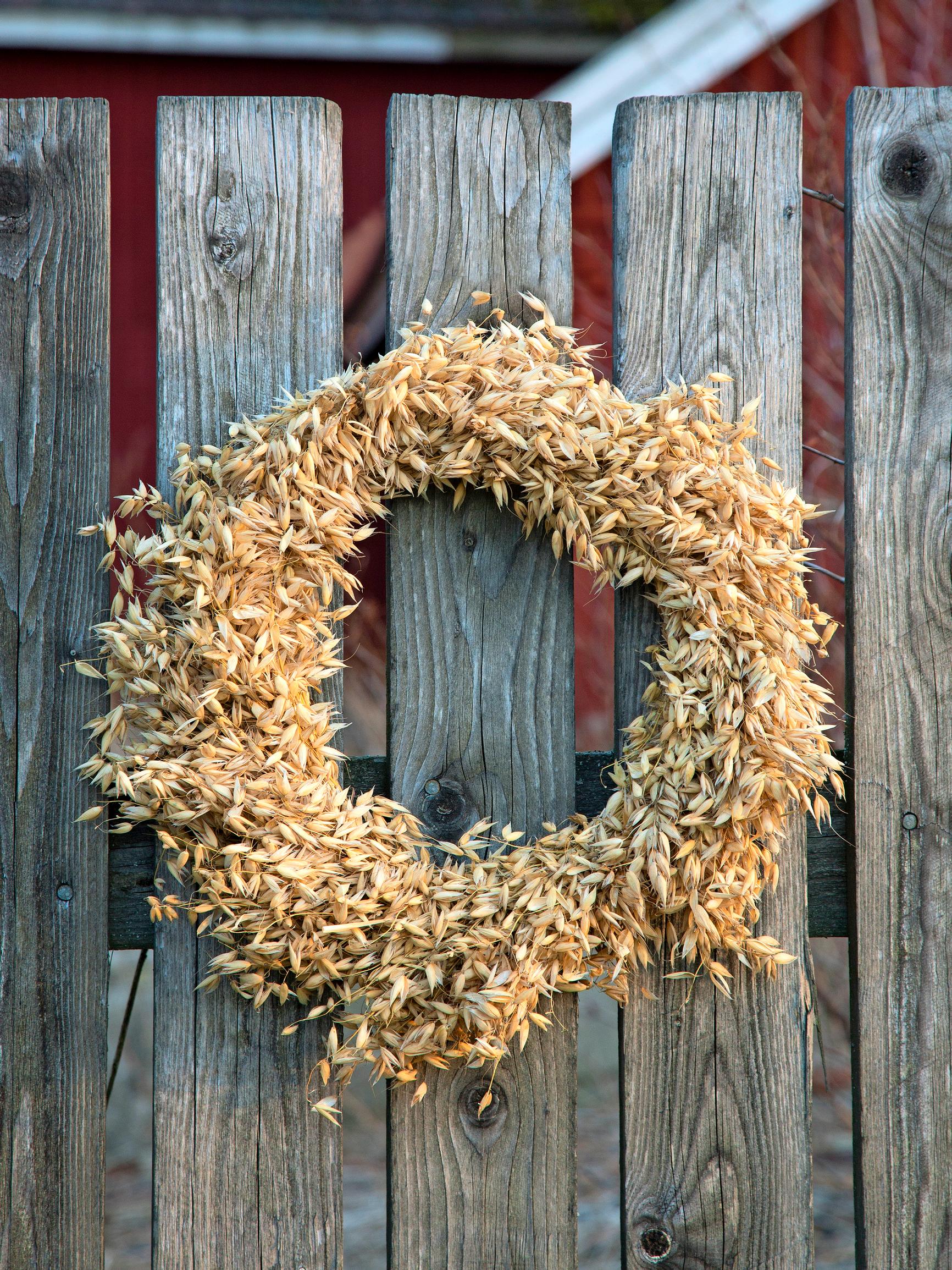 Make a bountiful oat sheaf wreath that keeps winter birds well fed