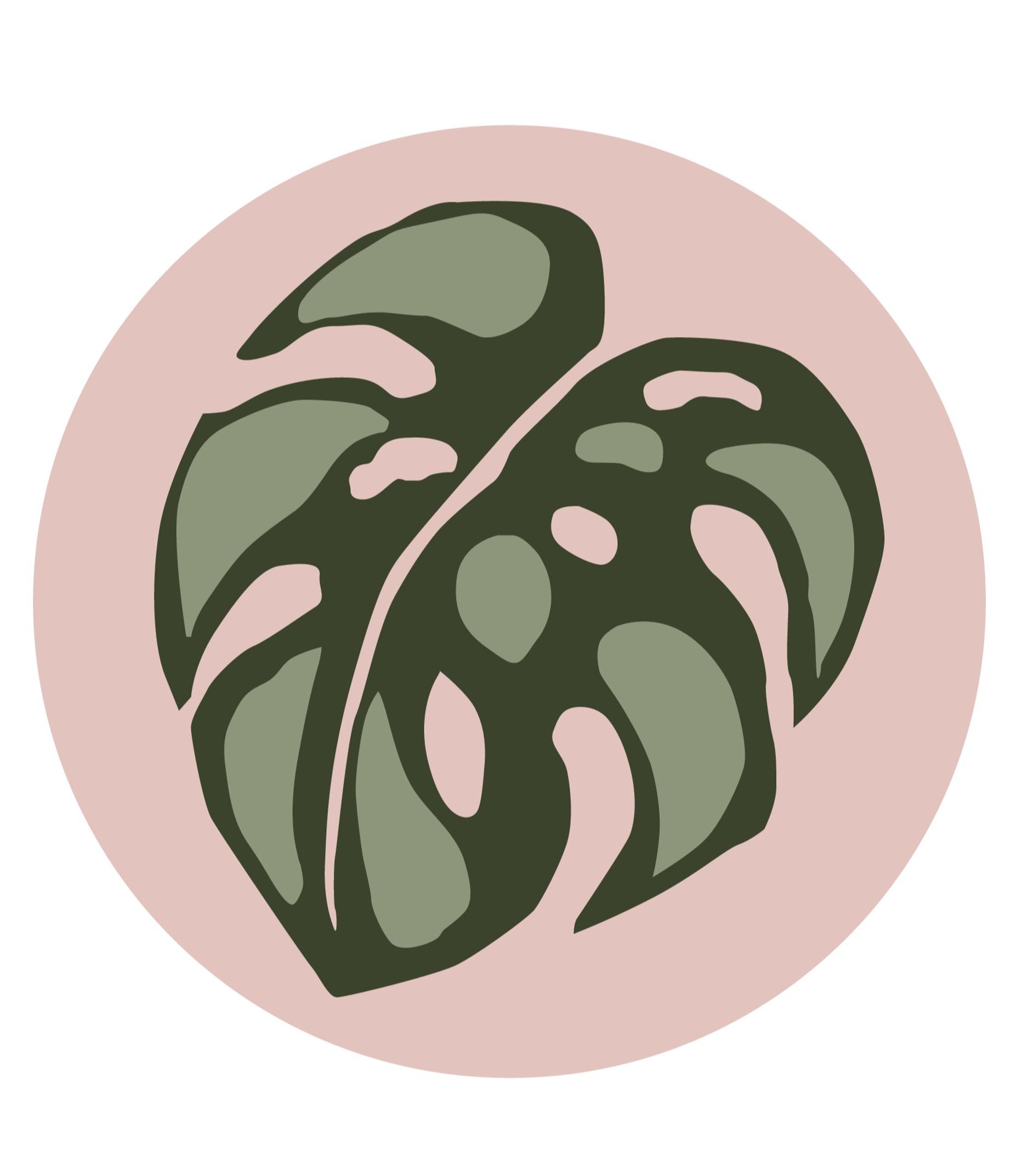 Monstera leaf diagram