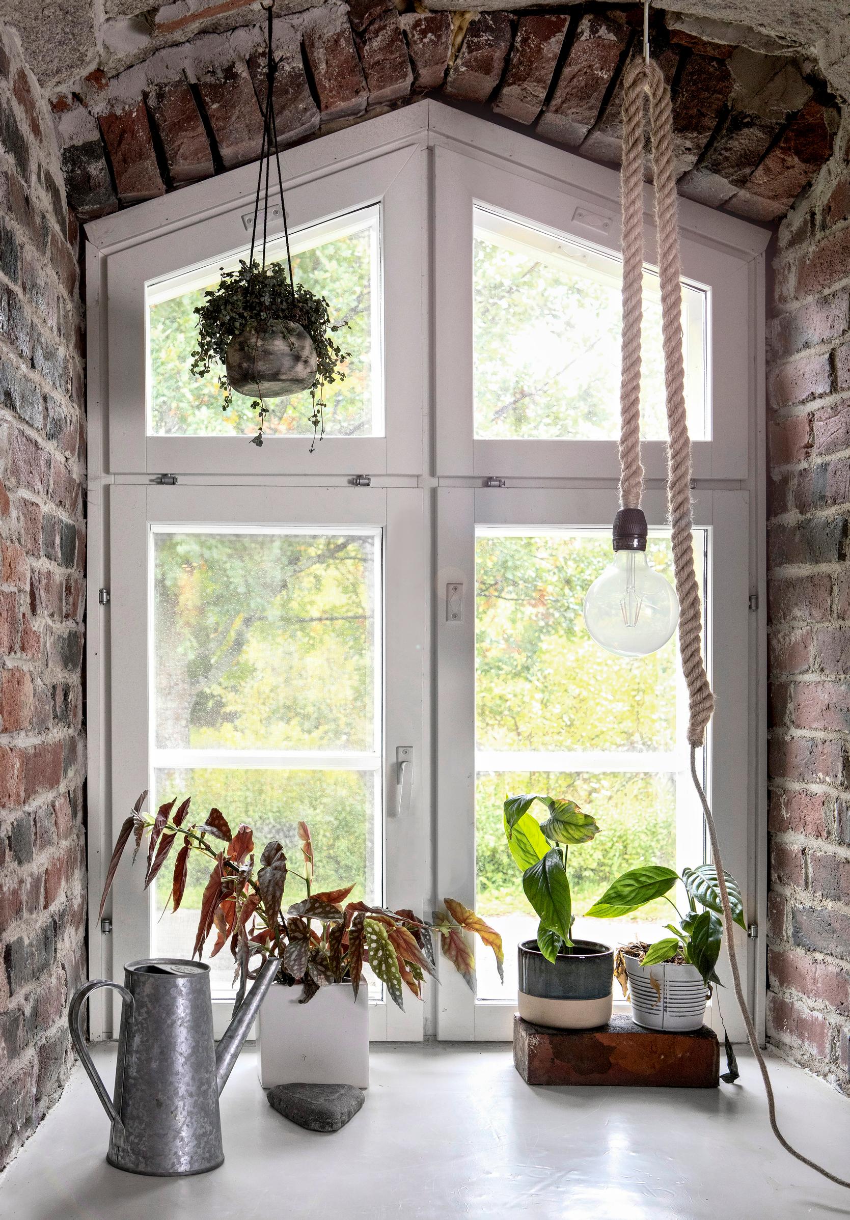 Potted plants in a window niche