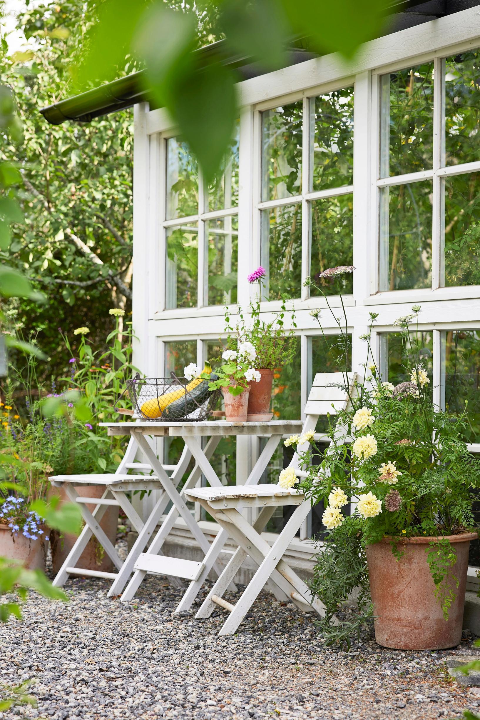 Seating set against the greenhouse wall