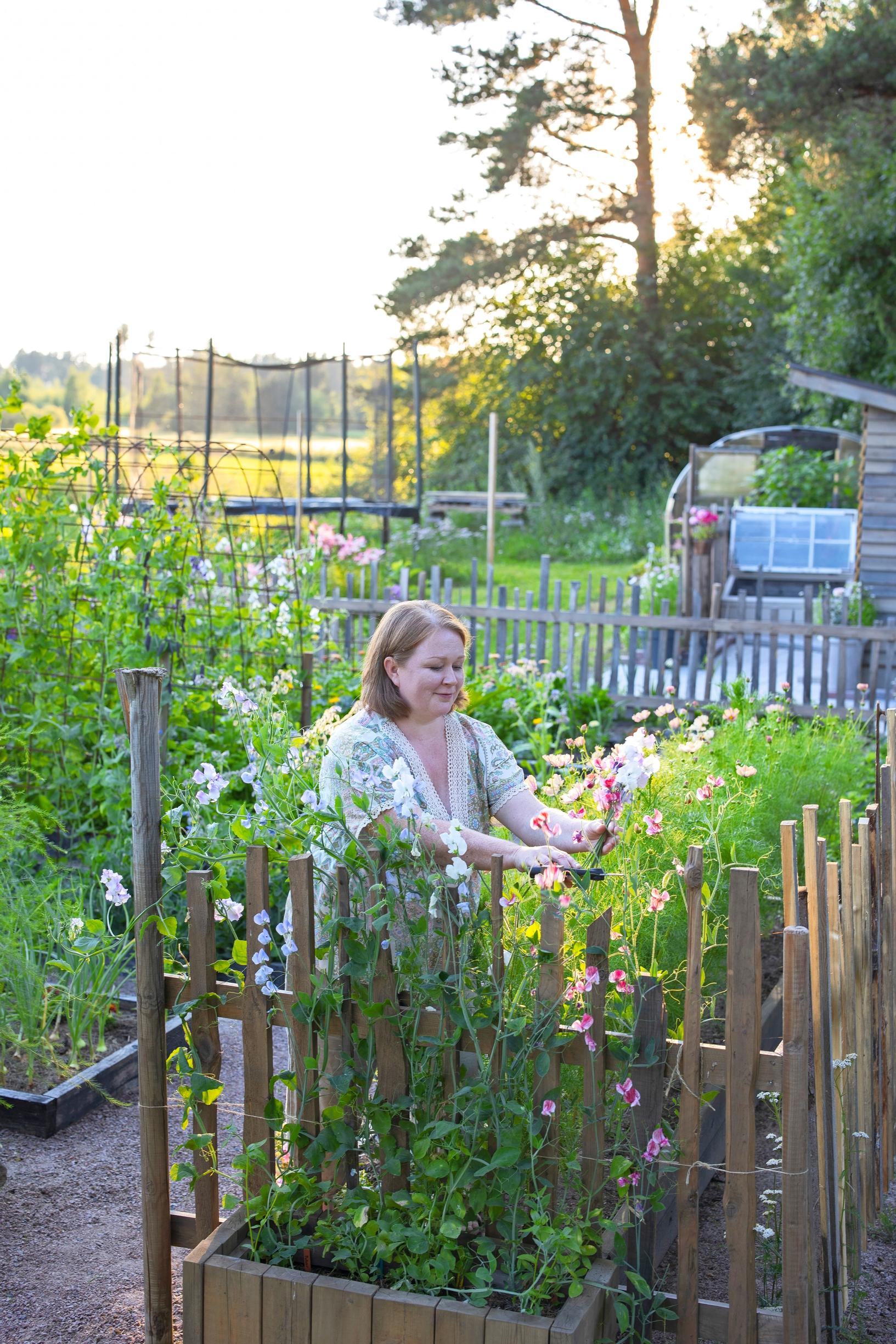 Virpi is interested in cultivating cut flowers outdoors.