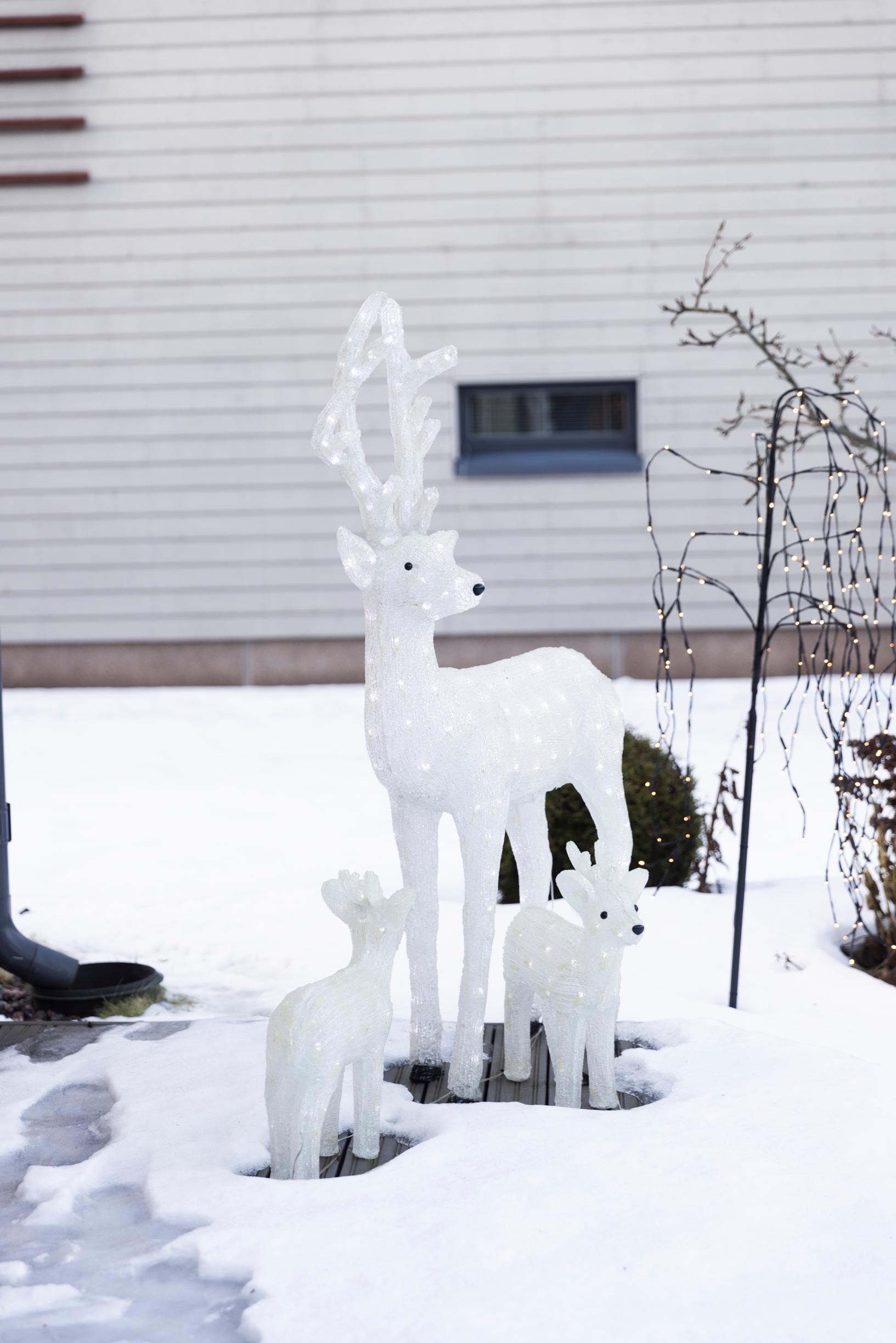 Lit reindeer figures in the snow.