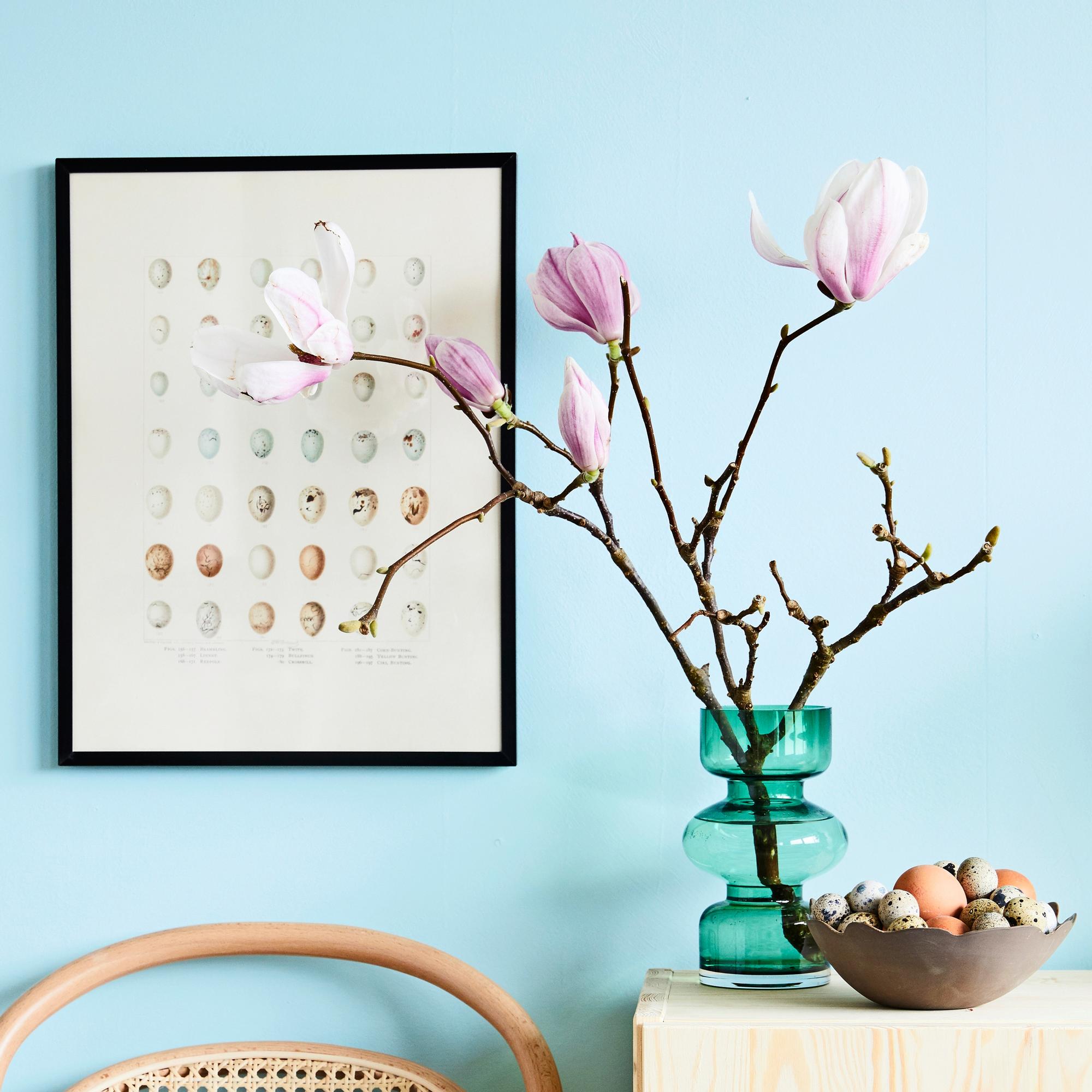 How to make a magnolia branch in a vase bloom—try these simple tips