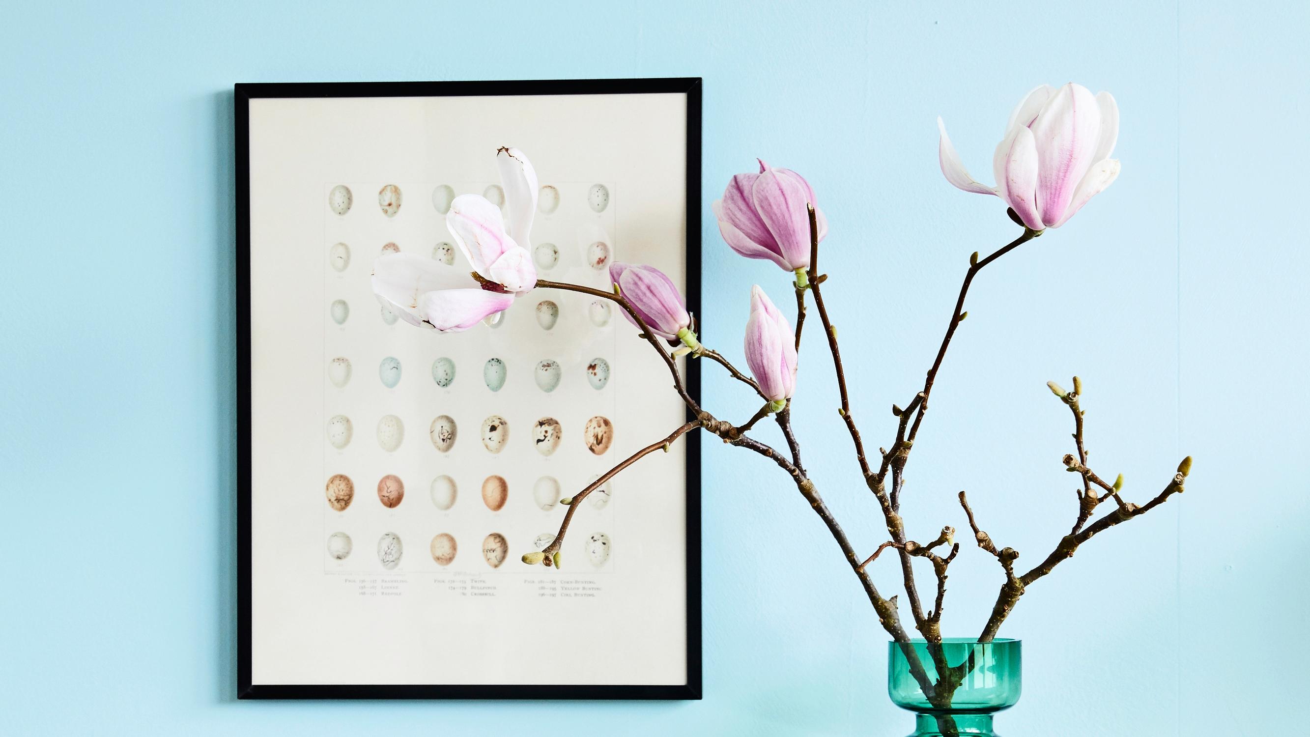 How to make a magnolia branch in a vase bloom—try these simple tips