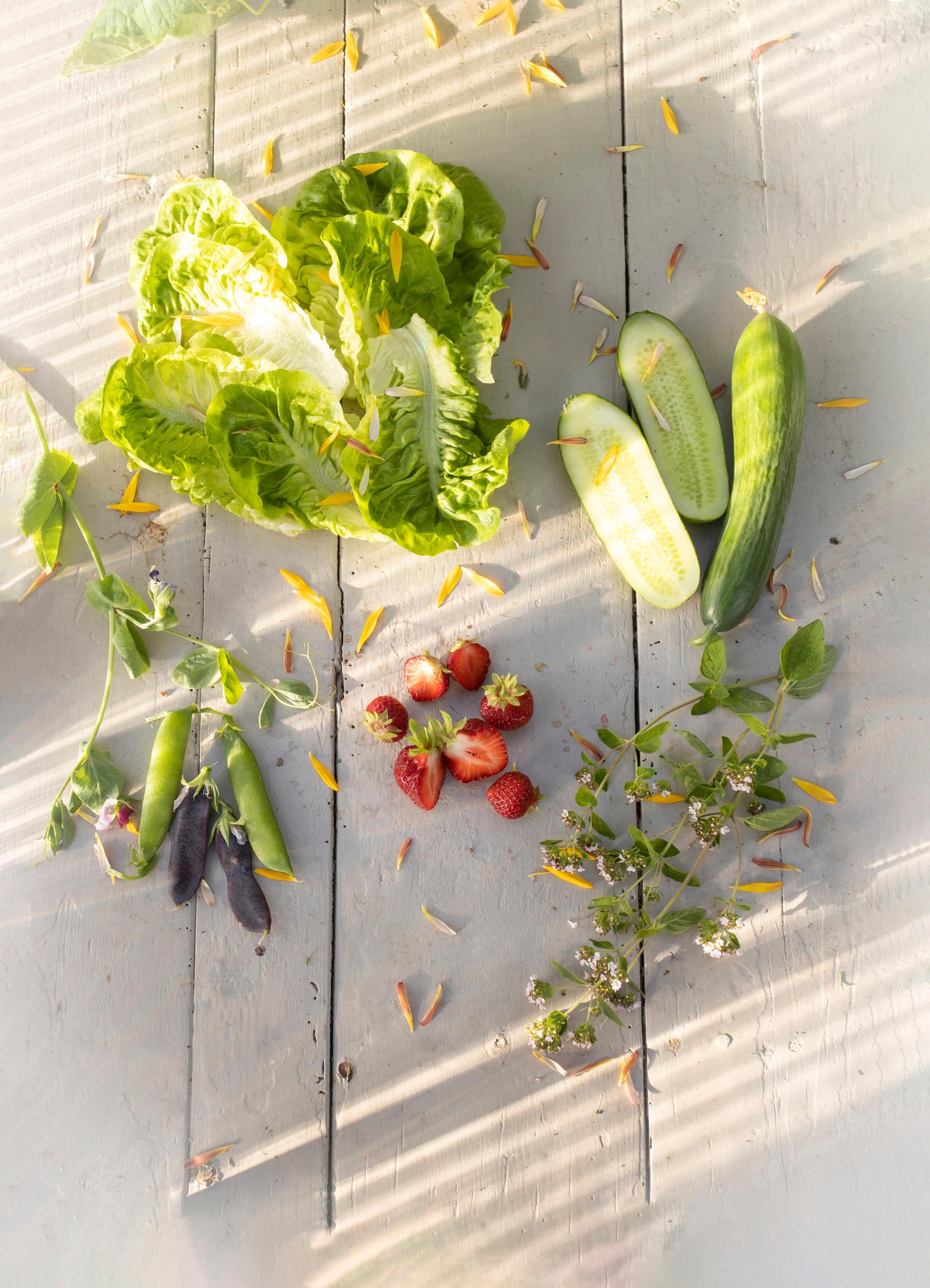 Virpi’s favorites: cos lettuce ‘Little Gem,’ cucumber ‘Iznik,’ oregano, garden strawberry ‘Polka,’ and peas ‘Blauwschokker’ and ‘Kelvedon Wonder’.