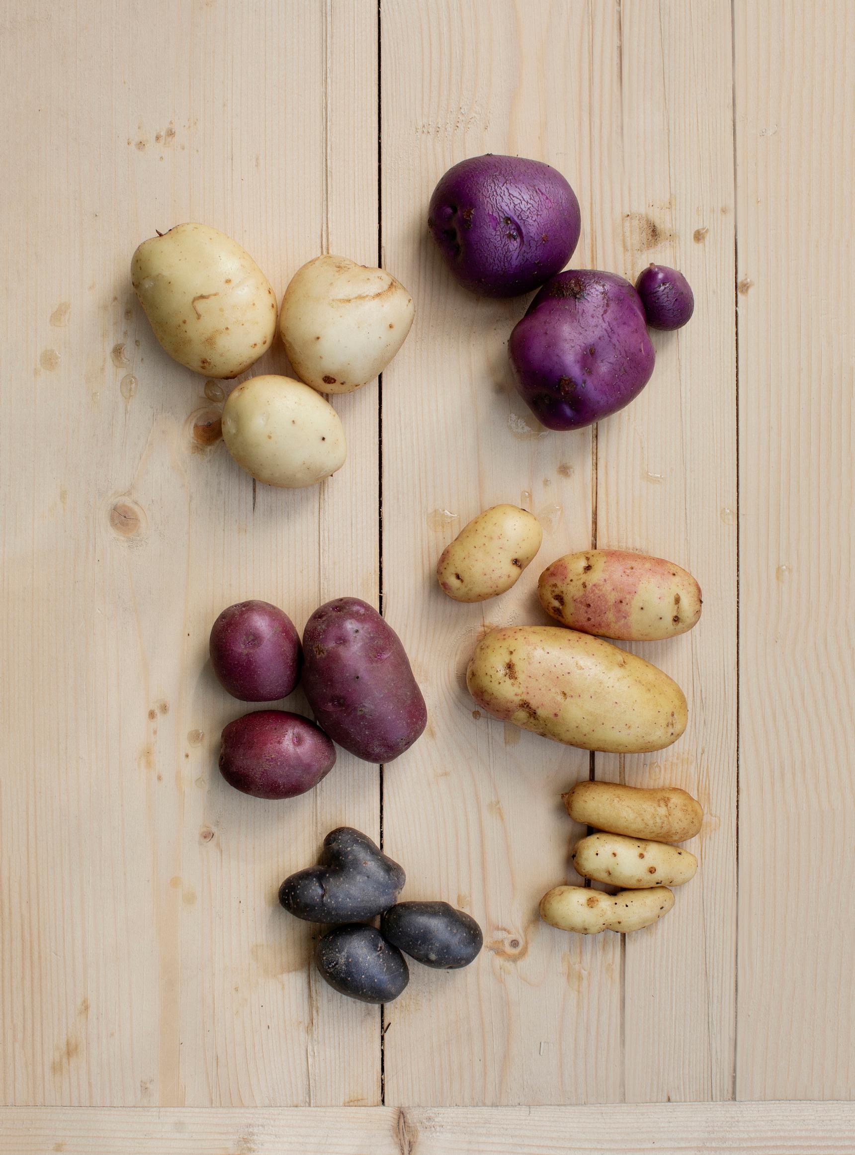 Potato varieties
