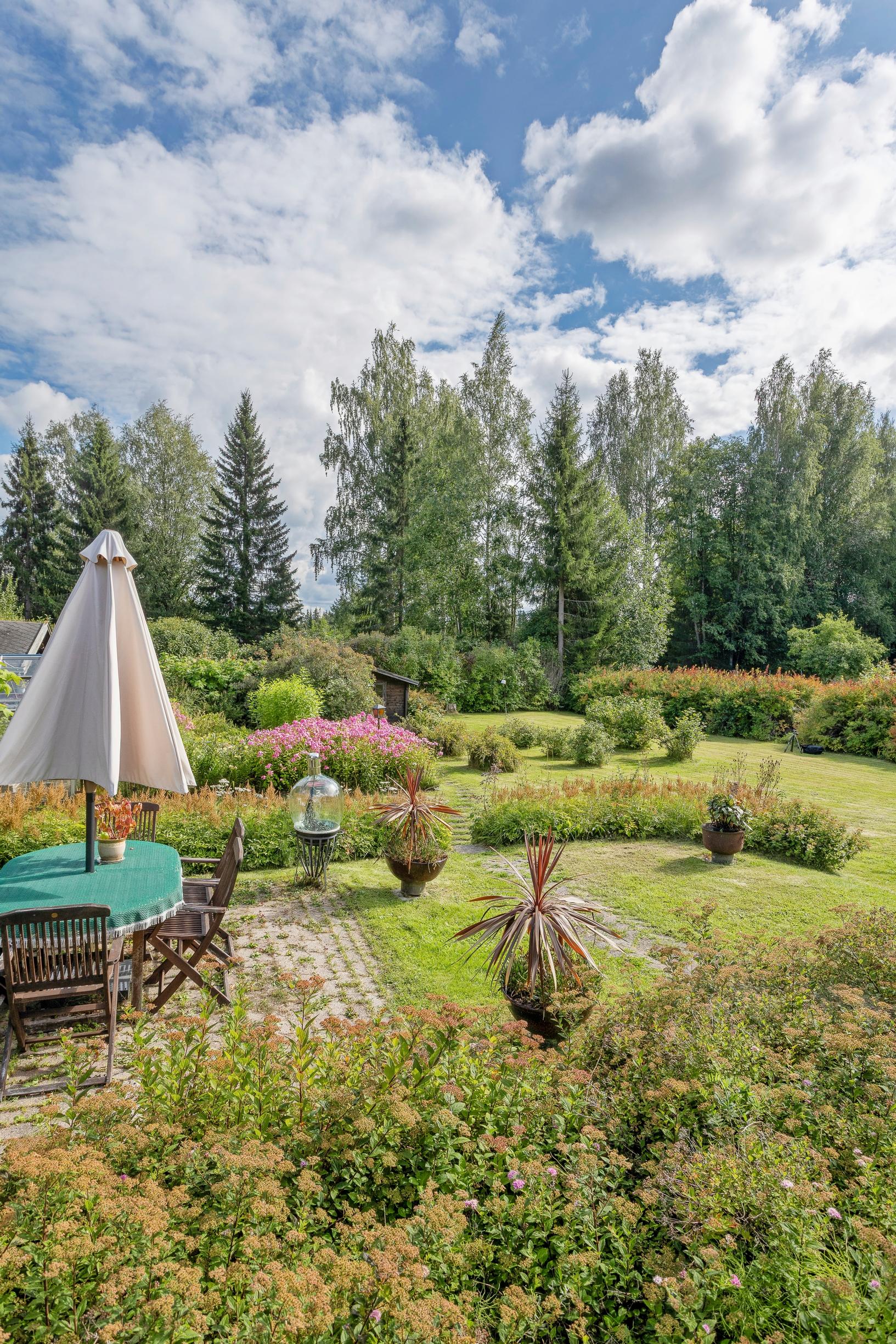 A 100-year-old veteran’s garden