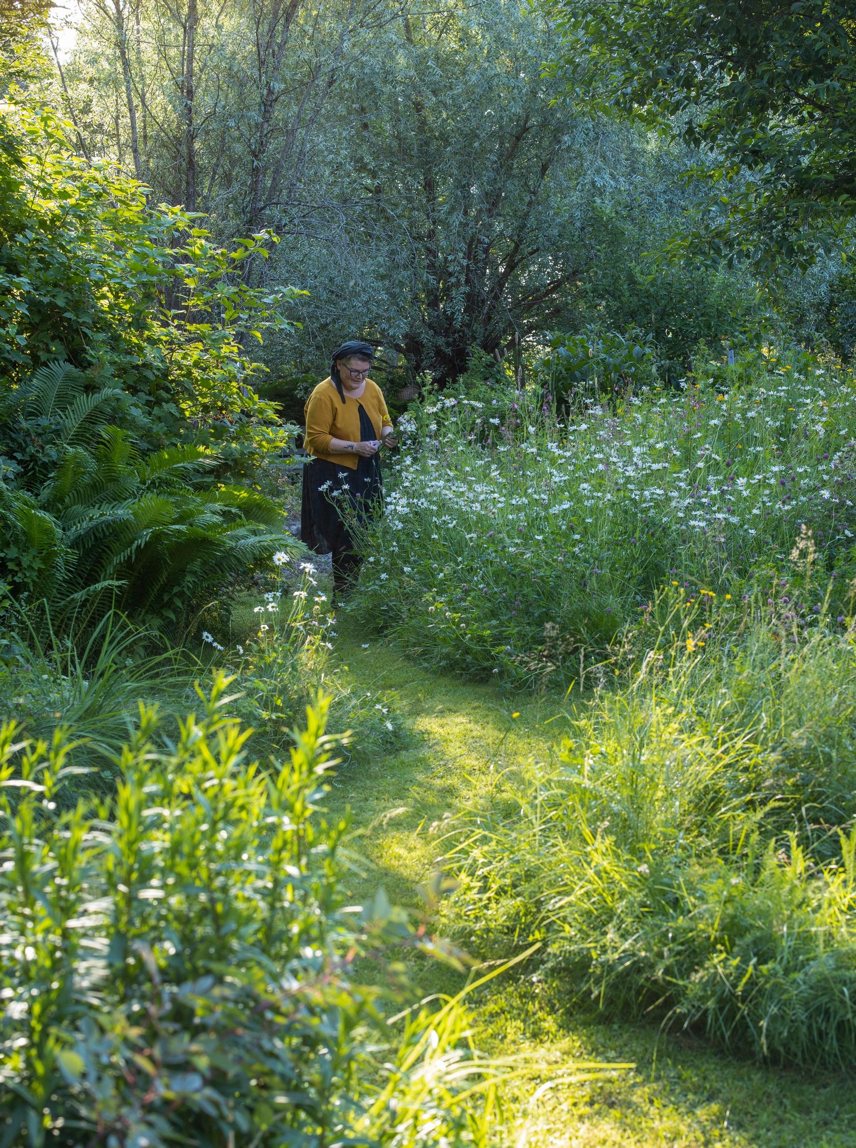 No-dig meadow