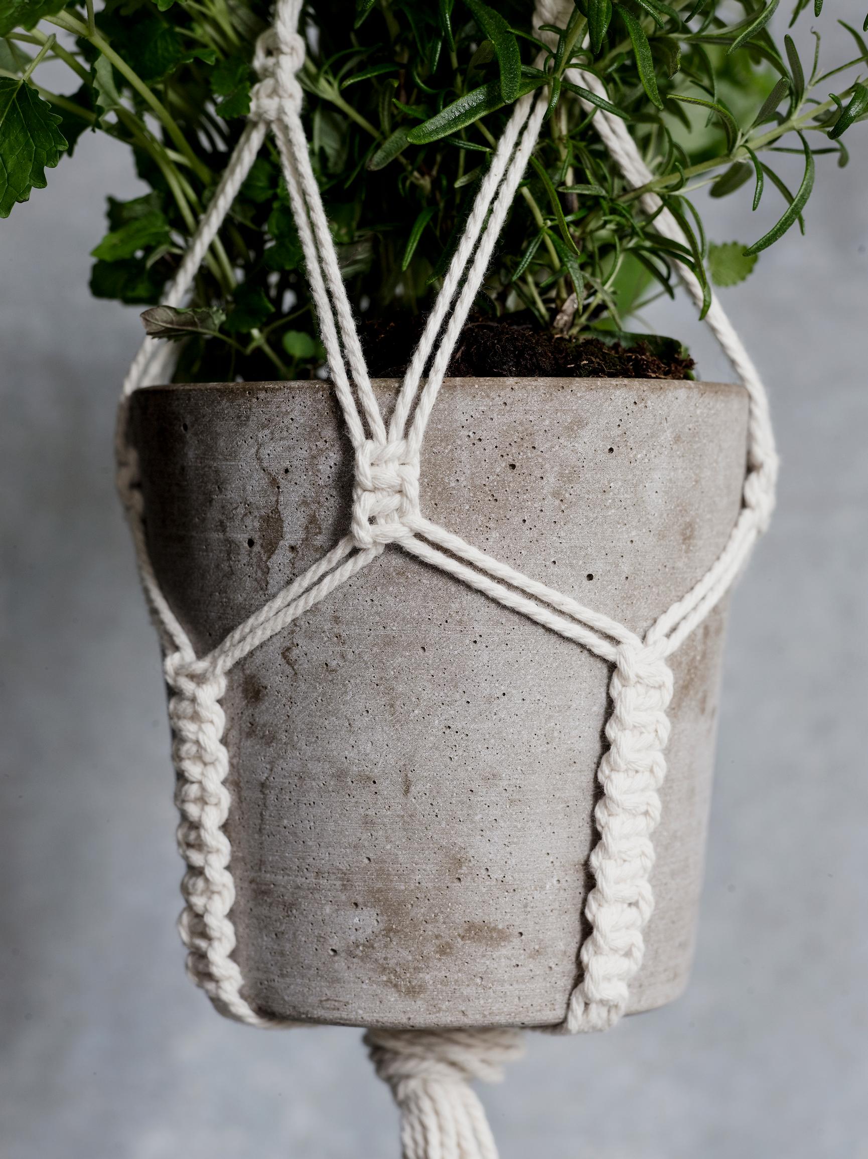 Details of the macrame plant hanger
