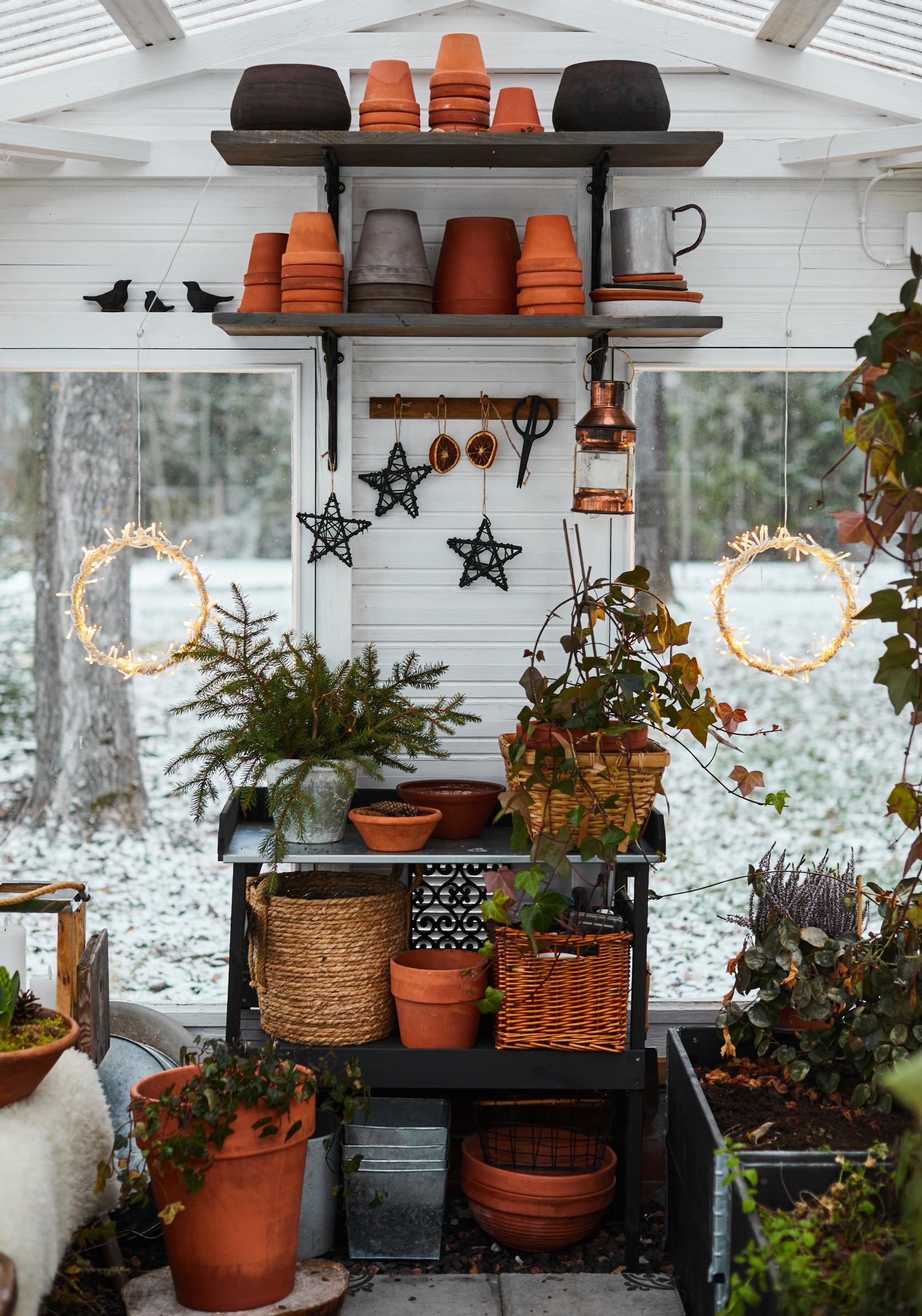 A greenhouse decked out for Christmas