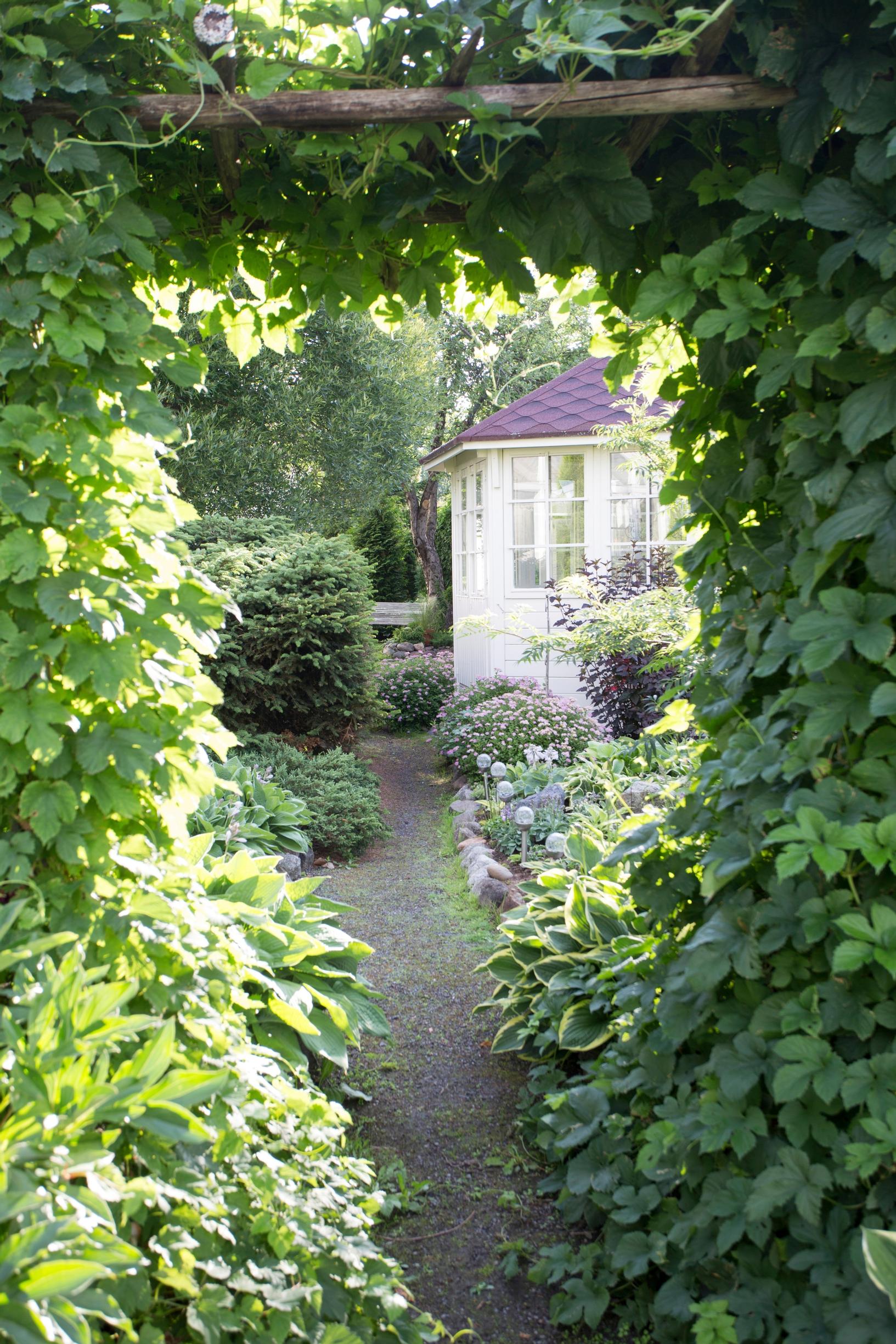 garden ideas