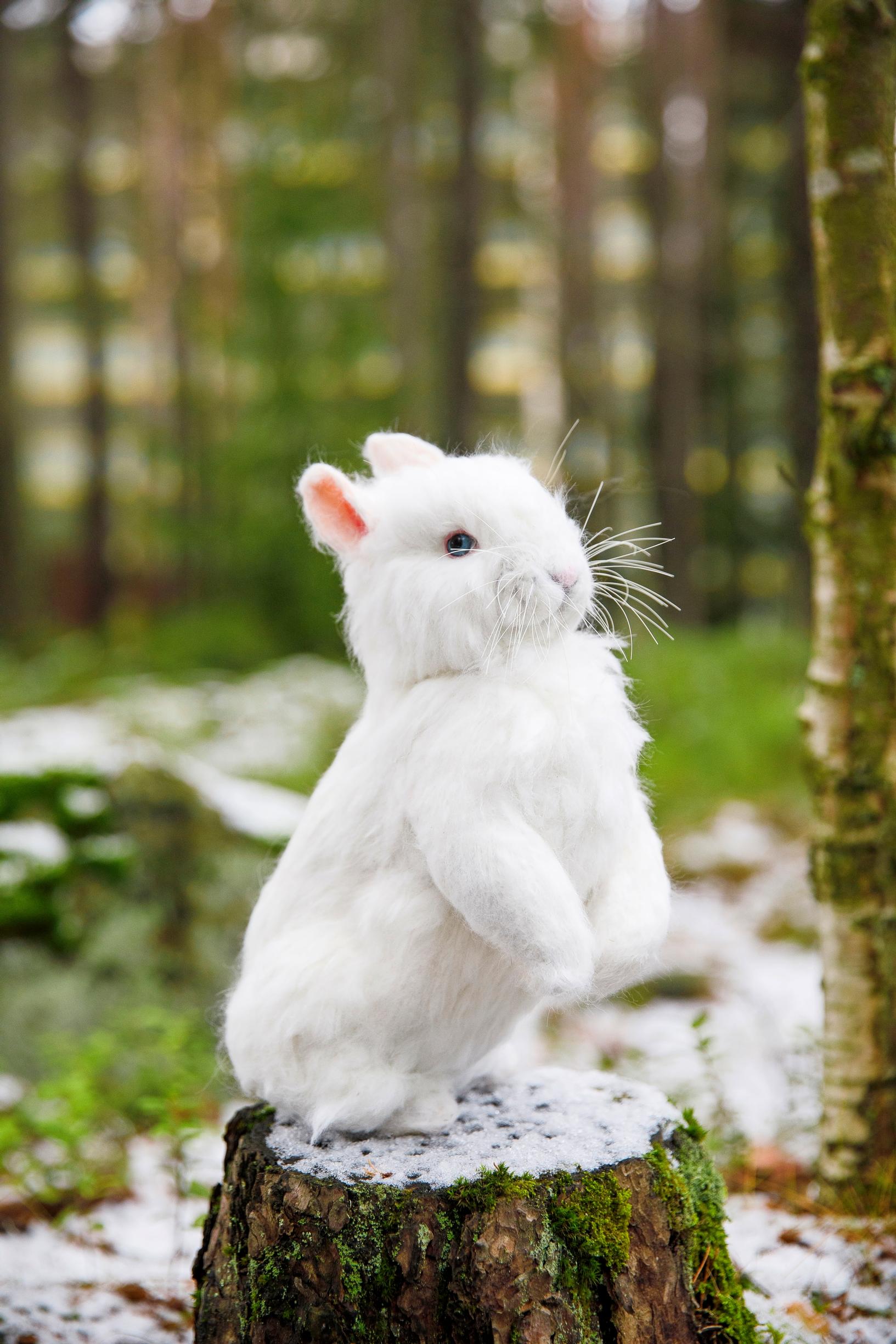 A felted hare.