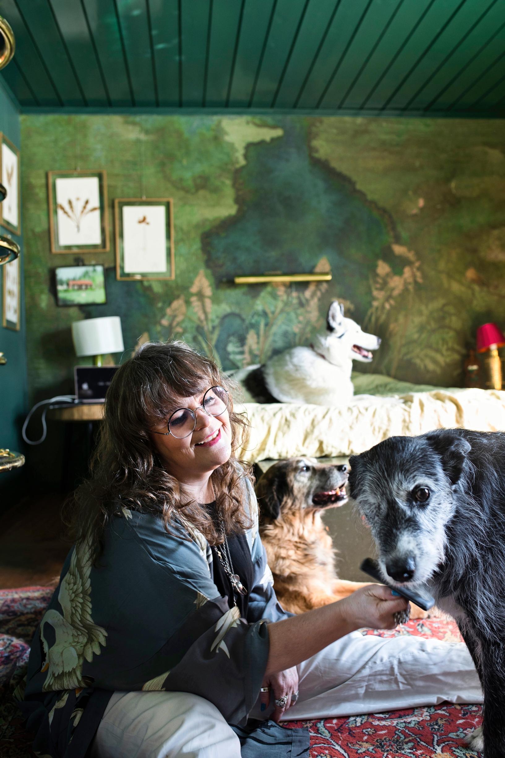 A woman grooming a gray dog