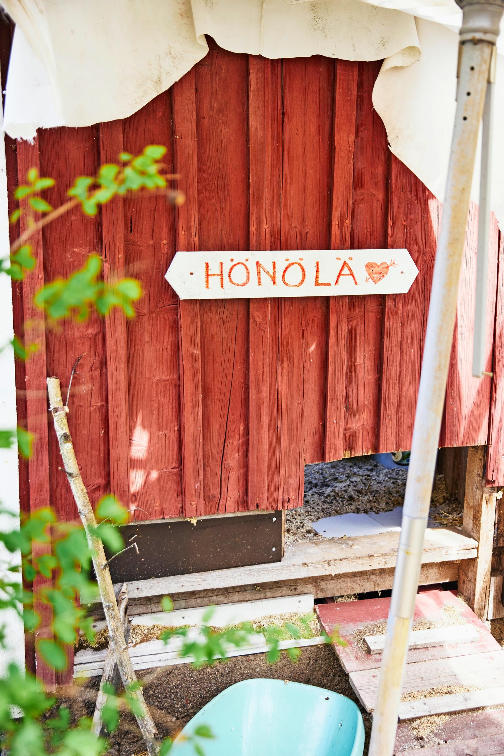 A photo of the chicken coop doorway.