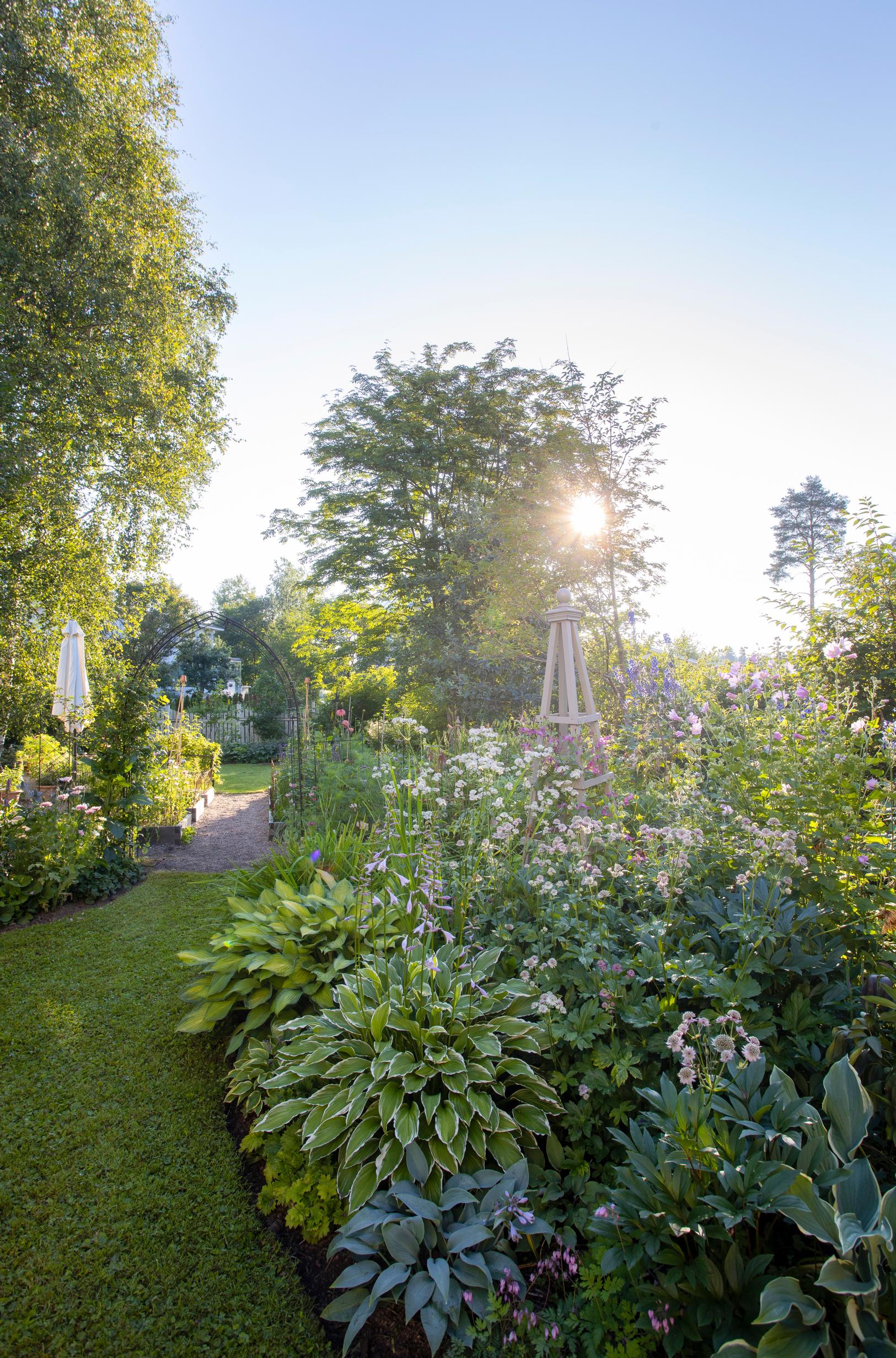 Bordering the bed are ‘Halcyon’ hosta, variegated hosta, and the impressive hosta ‘Gold Standard.’