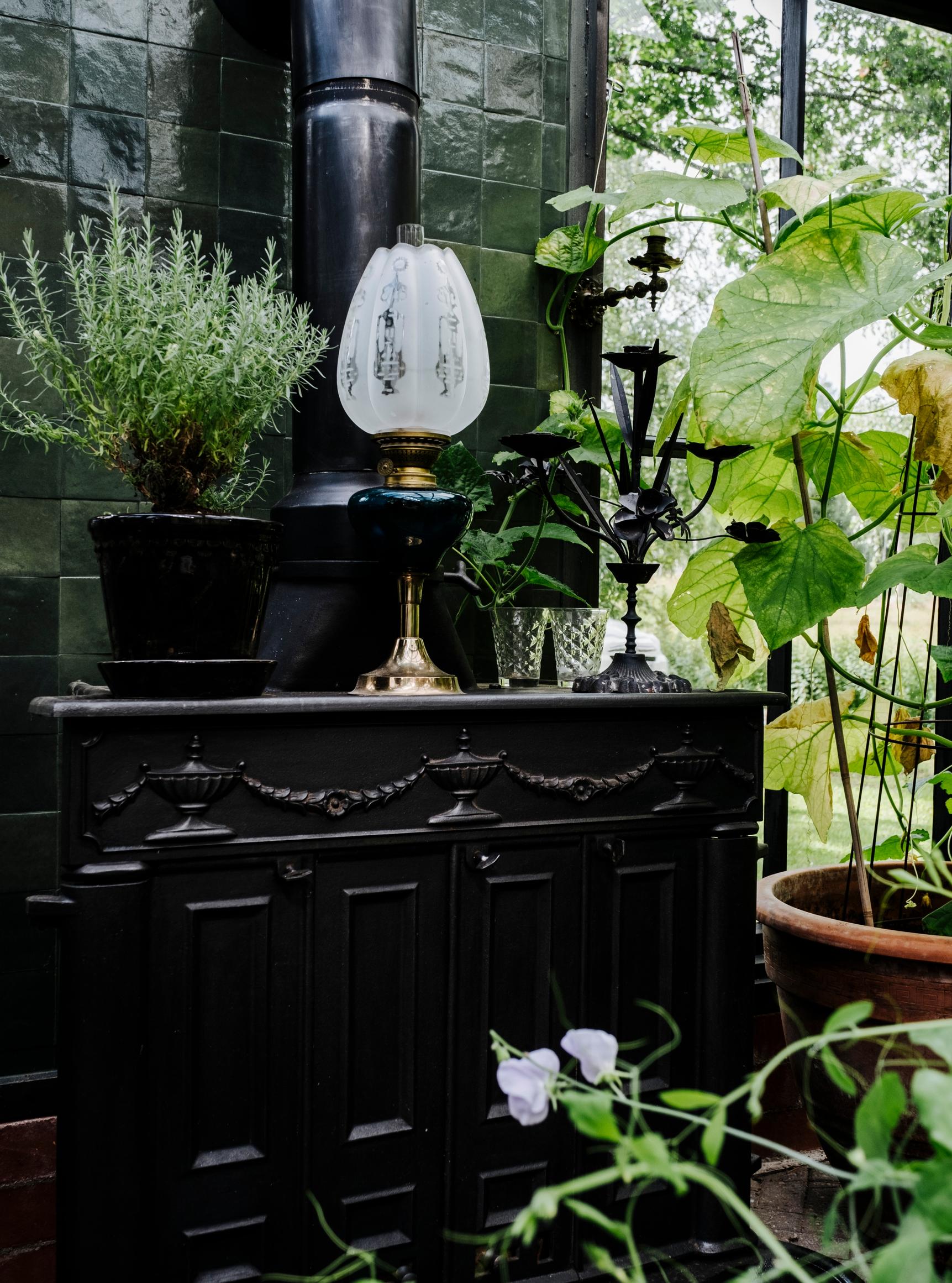 The greenhouse fireplace