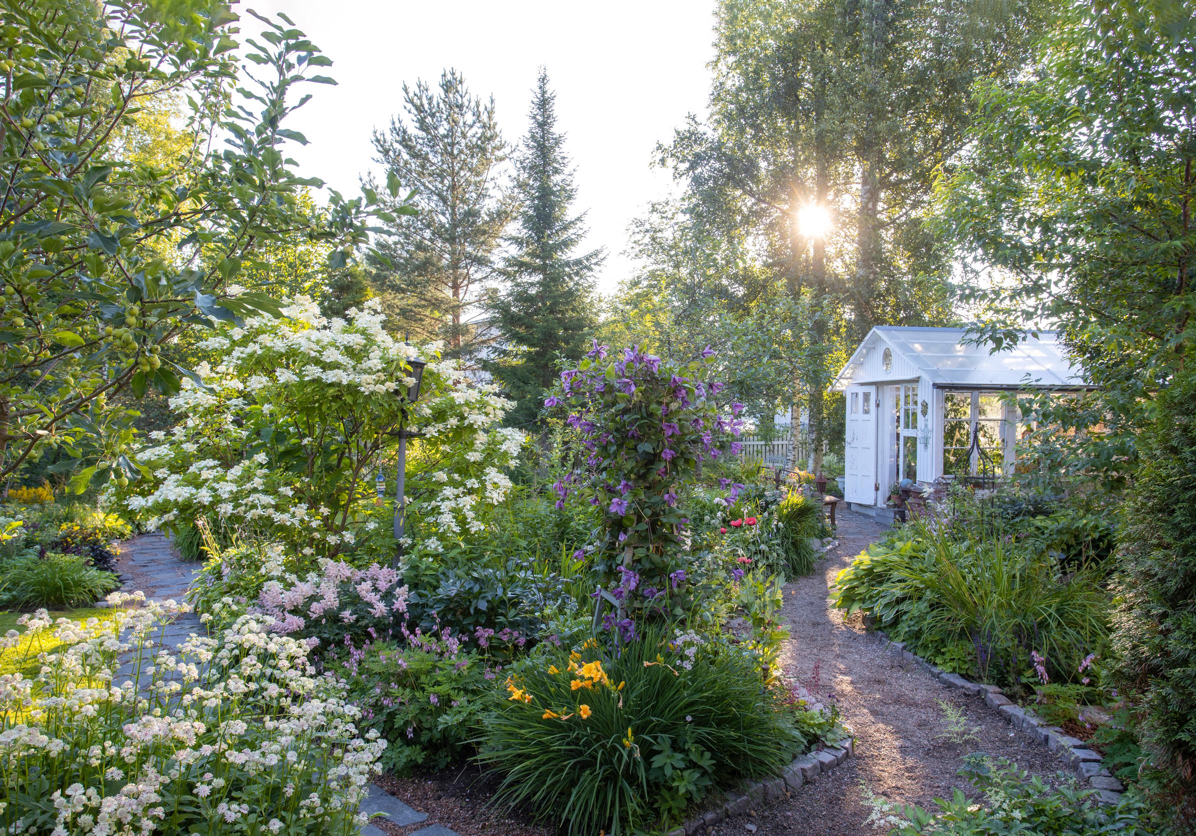 the garden of an old villa in Oulu: paths and greenhouse