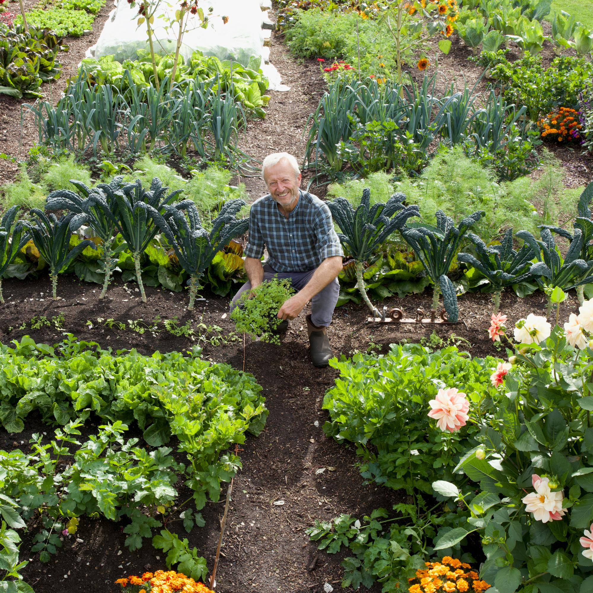 No-dig gardening master Charles Dowding reveals his secrets: how to start growing without turning soil