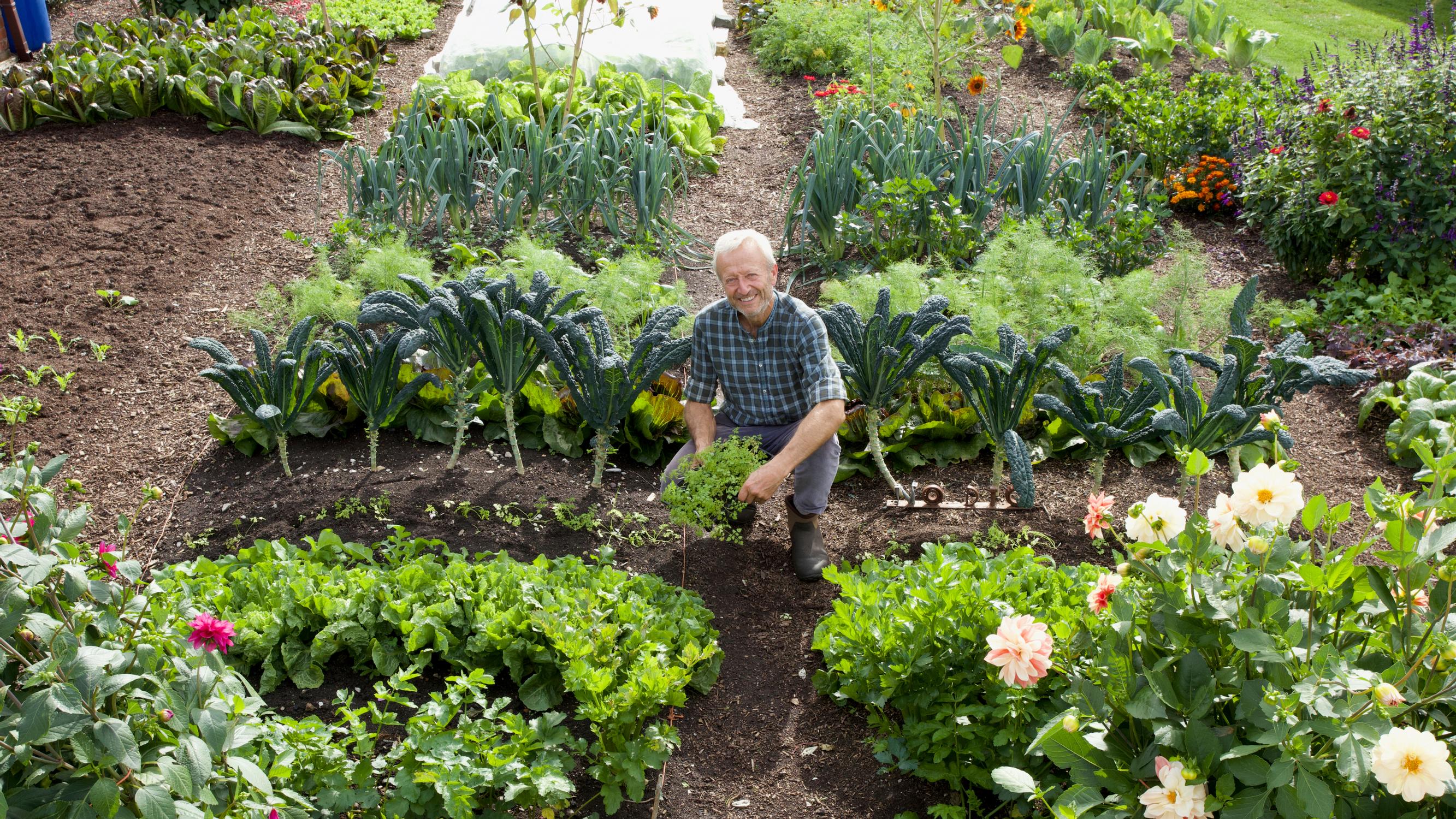 No-dig gardening master Charles Dowding reveals his secrets: how to start growing without turning soil