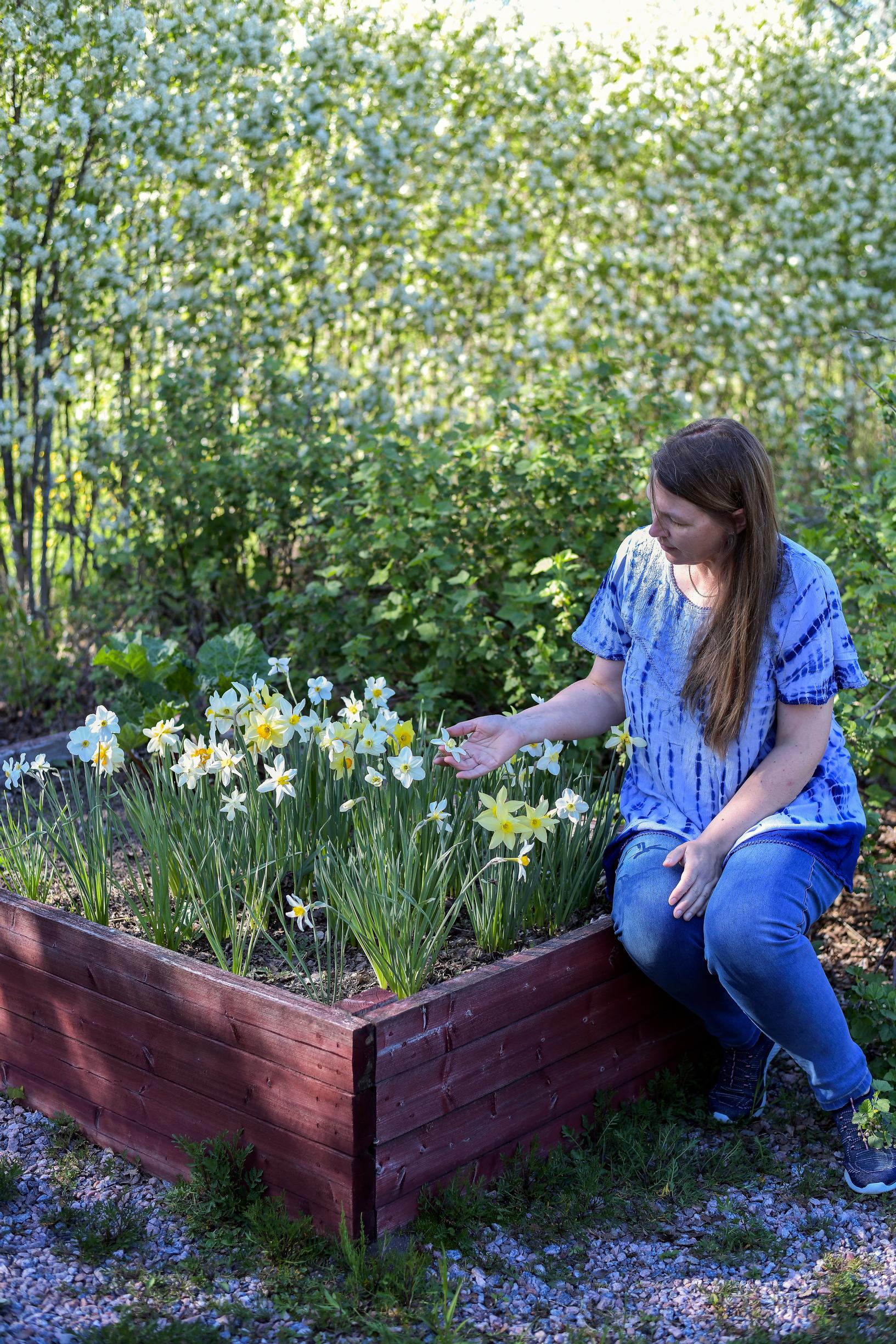 Chatarina Munck and daffodils in a box