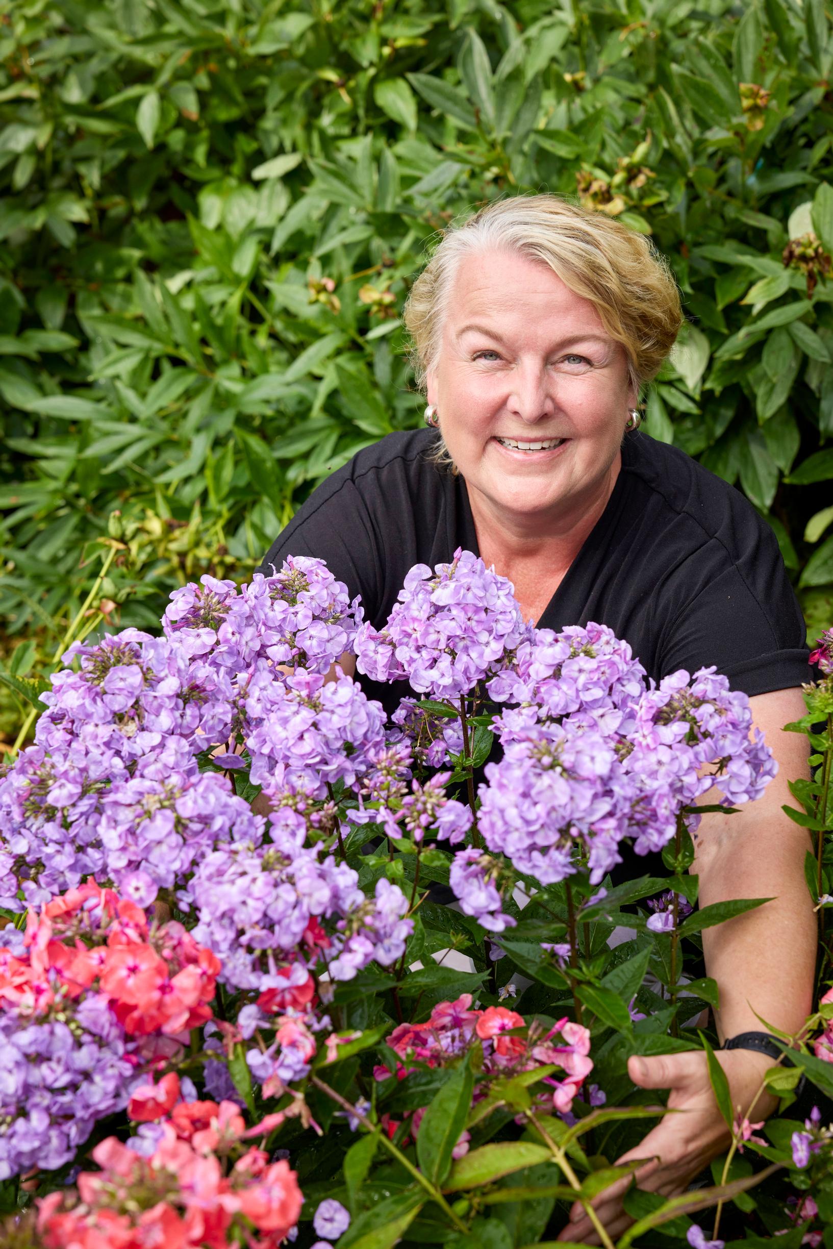 fall phlox varieties