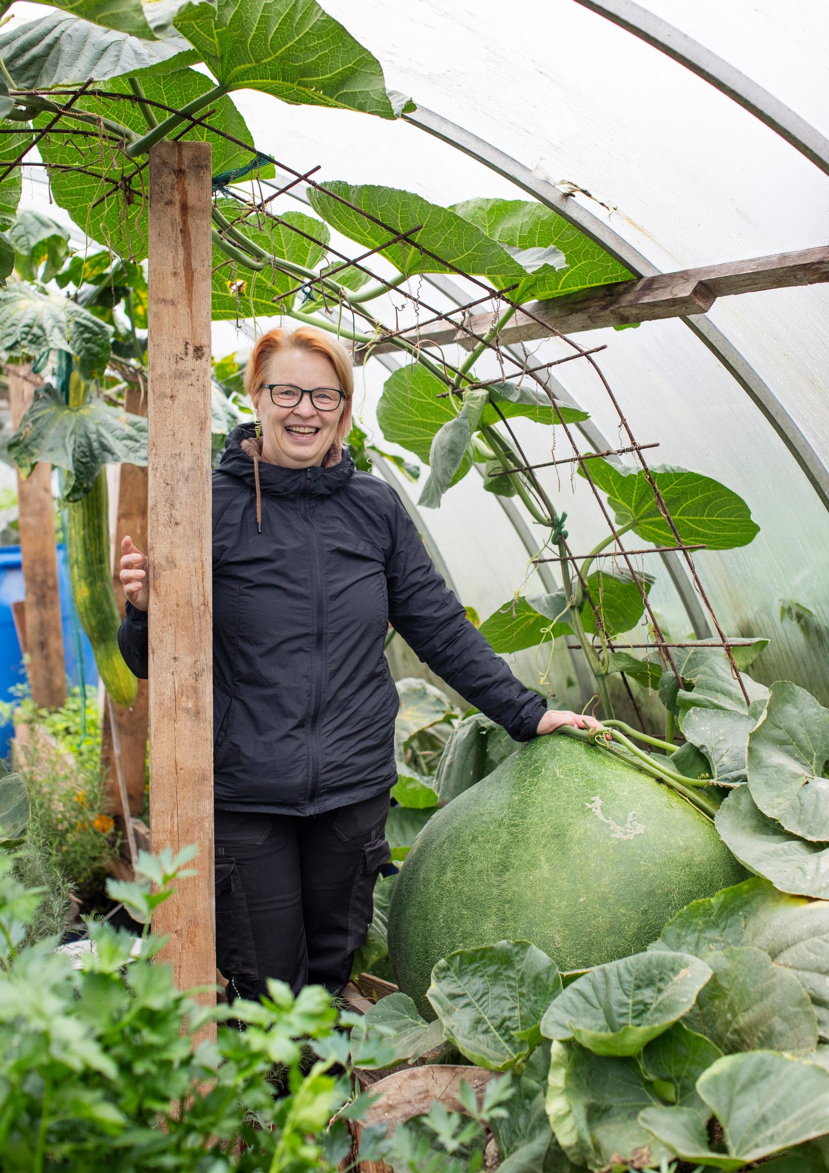 The round bushel gourd finally hit the 2024 Finnish record at 98 kg (216 lb).