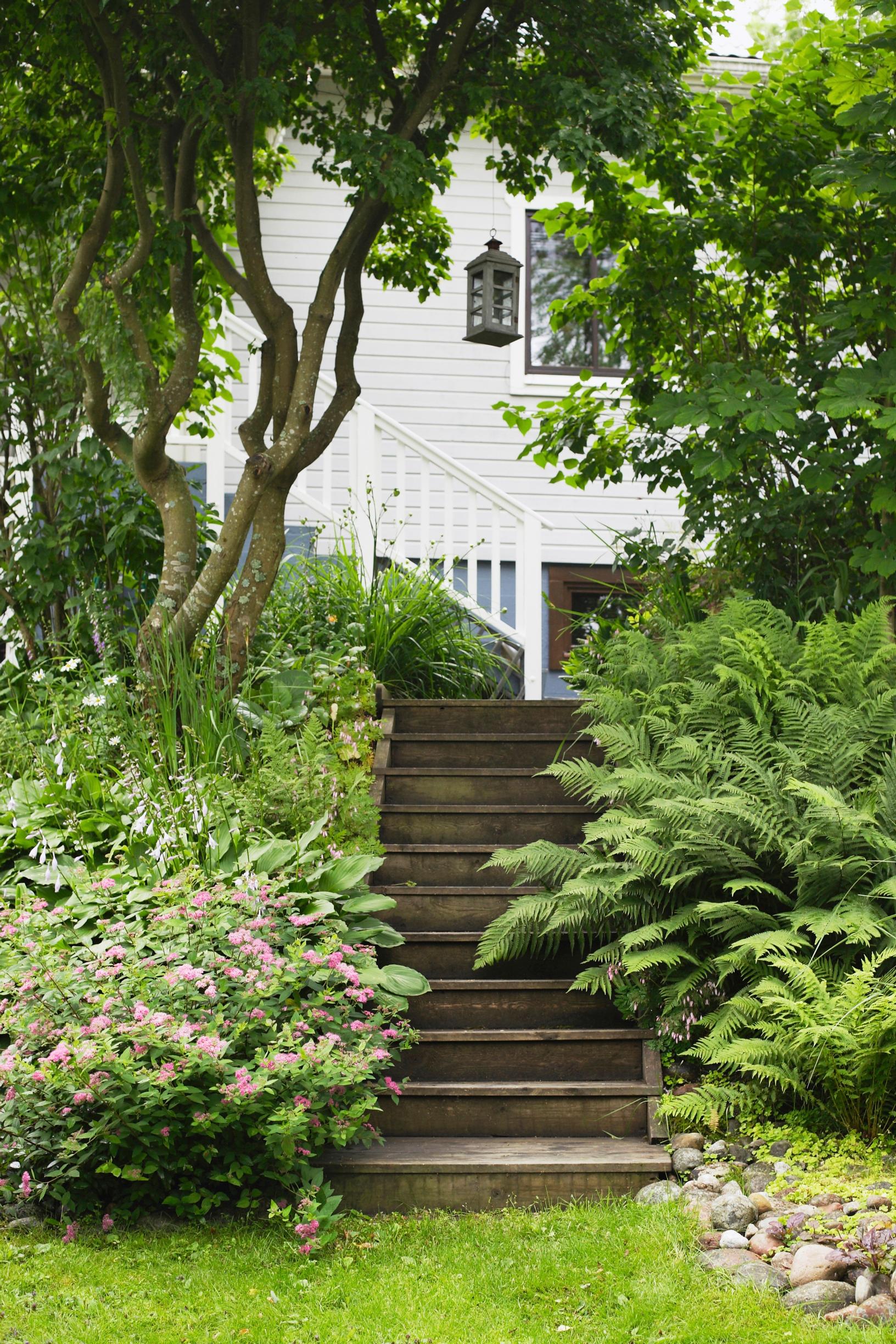 Steps in the garden