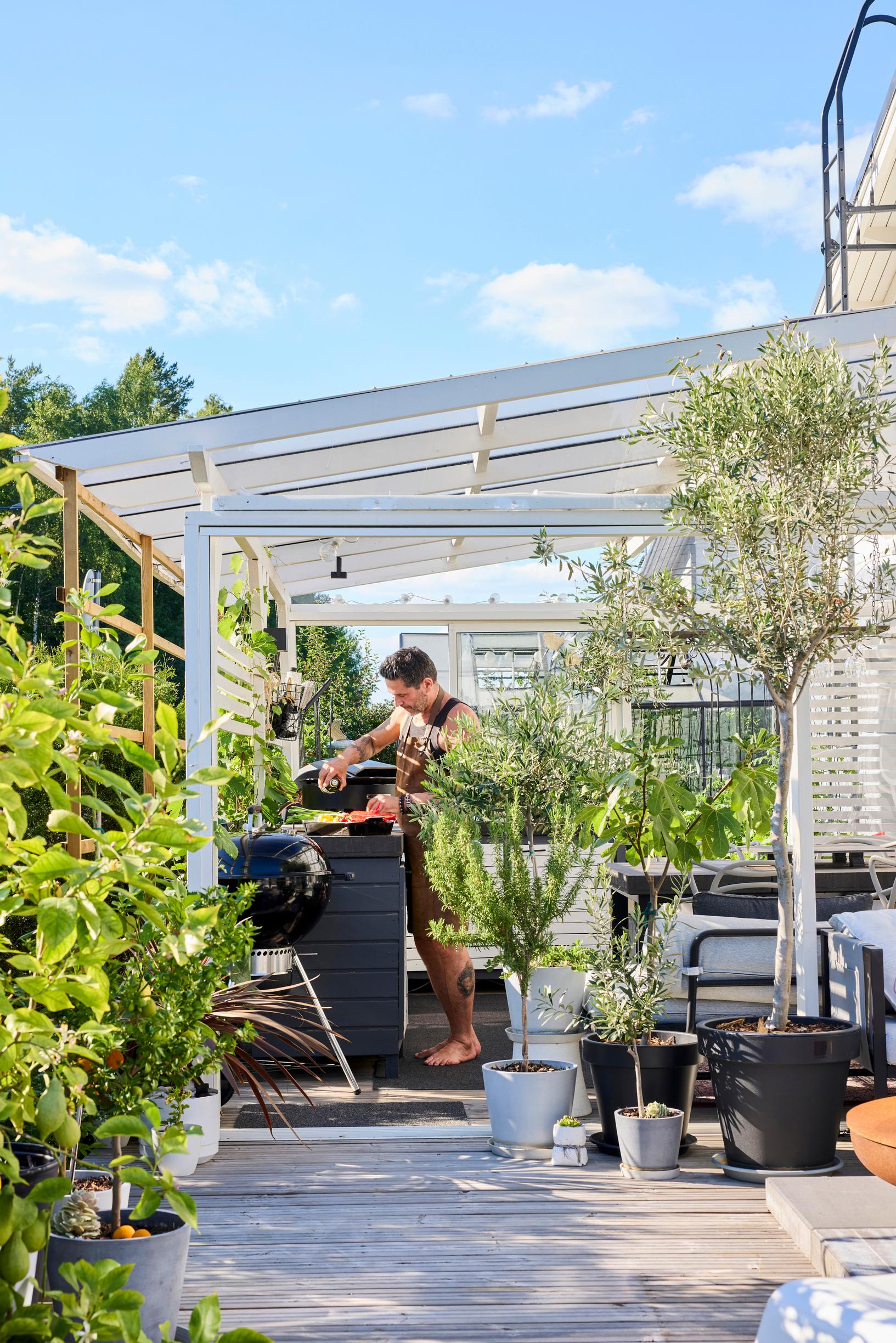 500-square-meter yard, summer kitchen