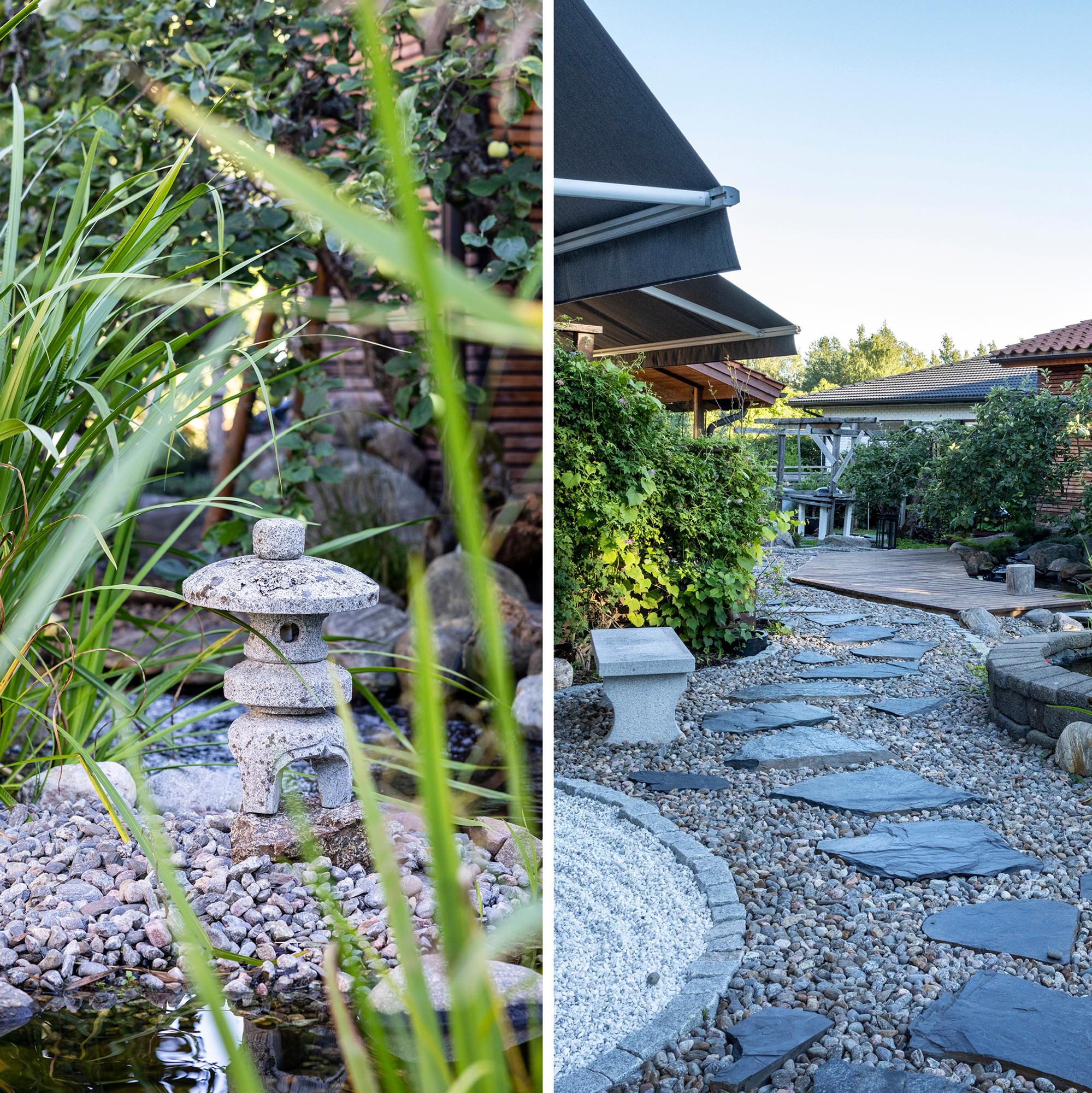 Japanese-style garden with 40 carp: “It took a couple of years to persuade my wife”