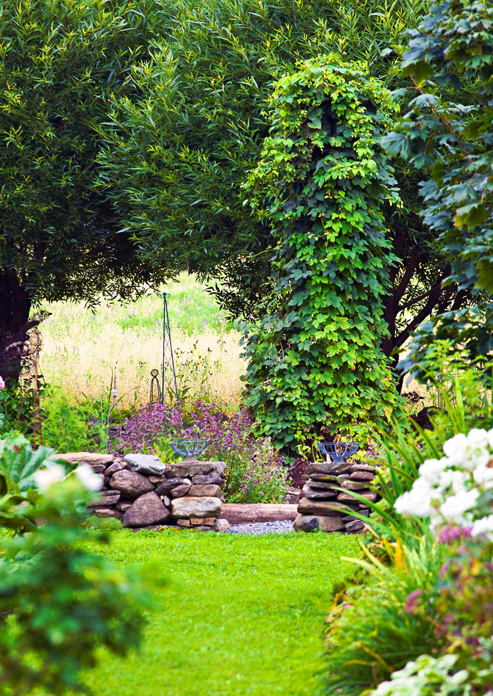 garden screen ideas