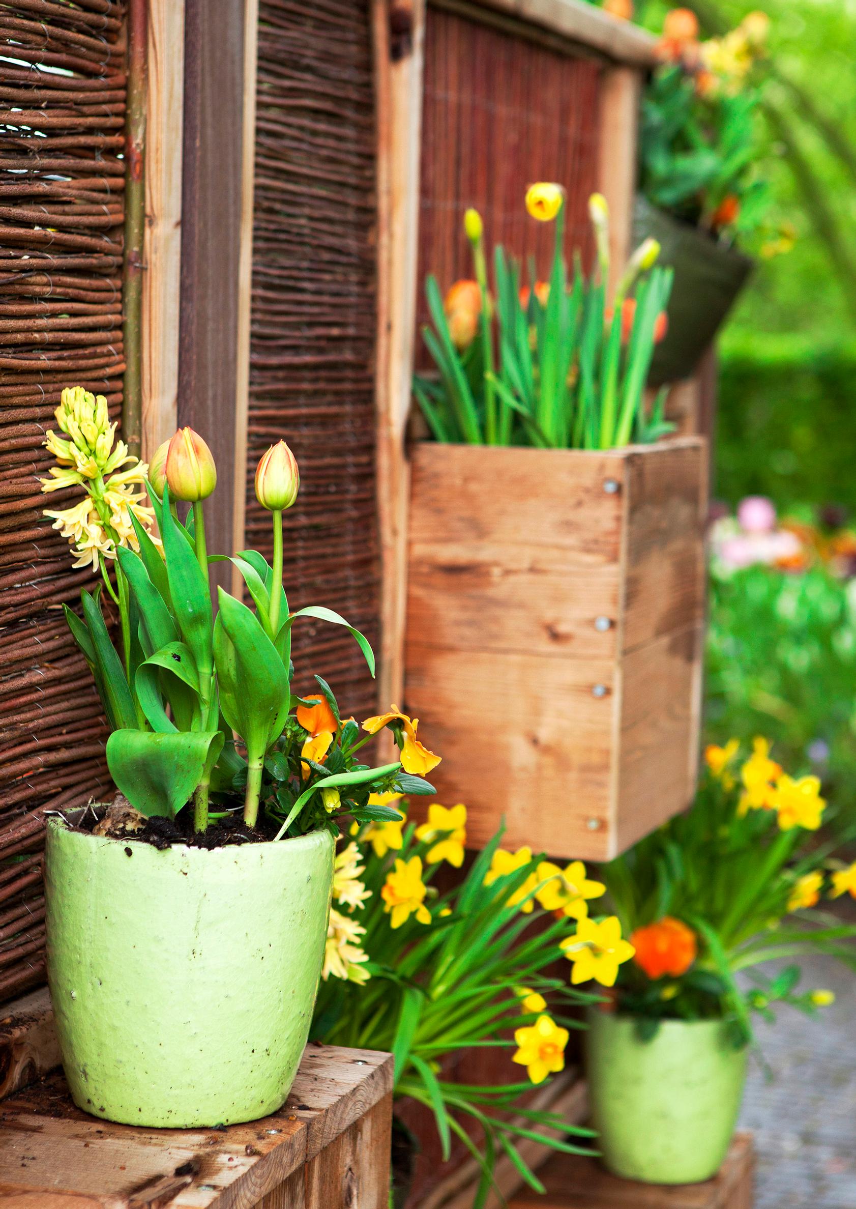 garden screen ideas