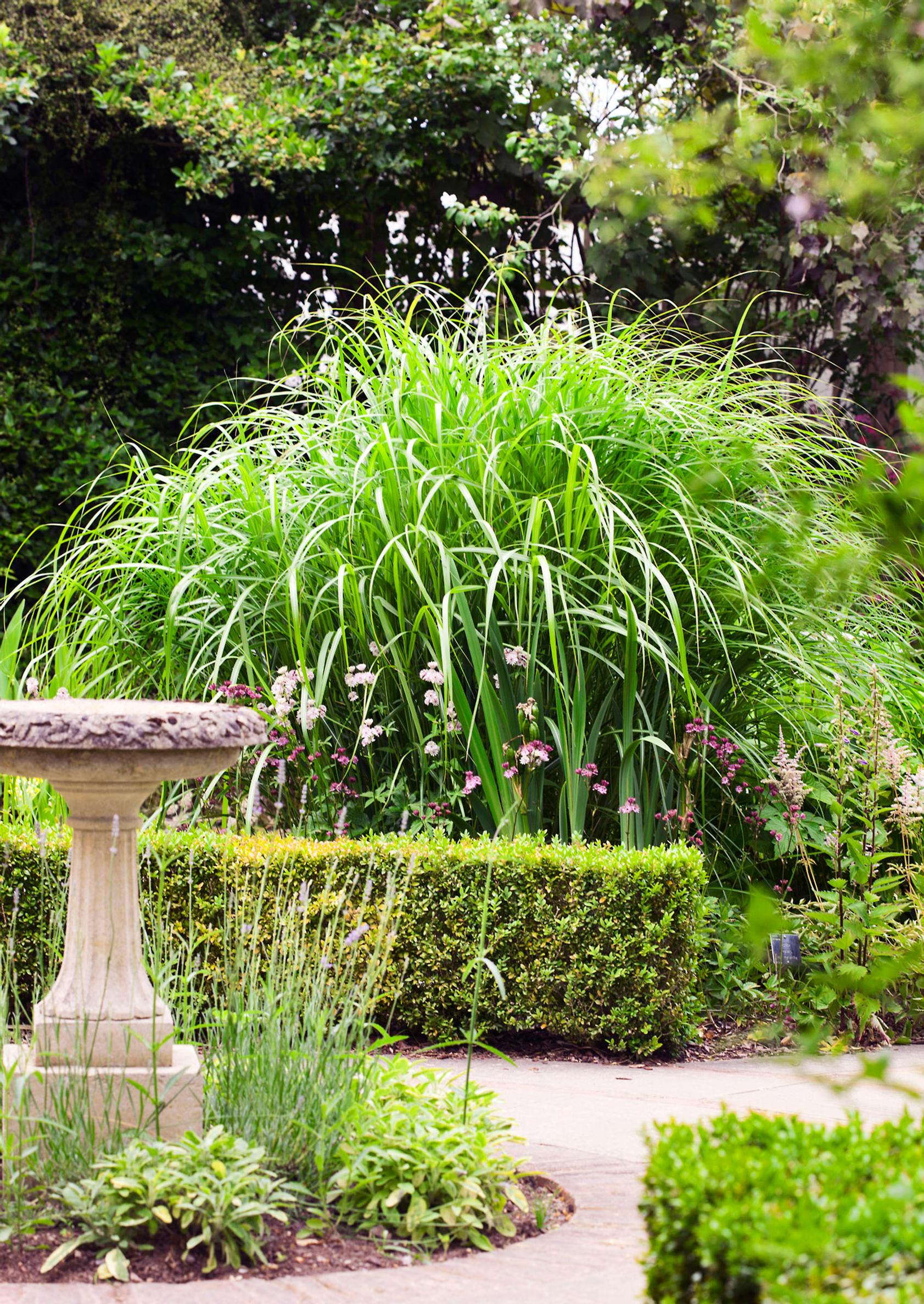 garden screen ideas