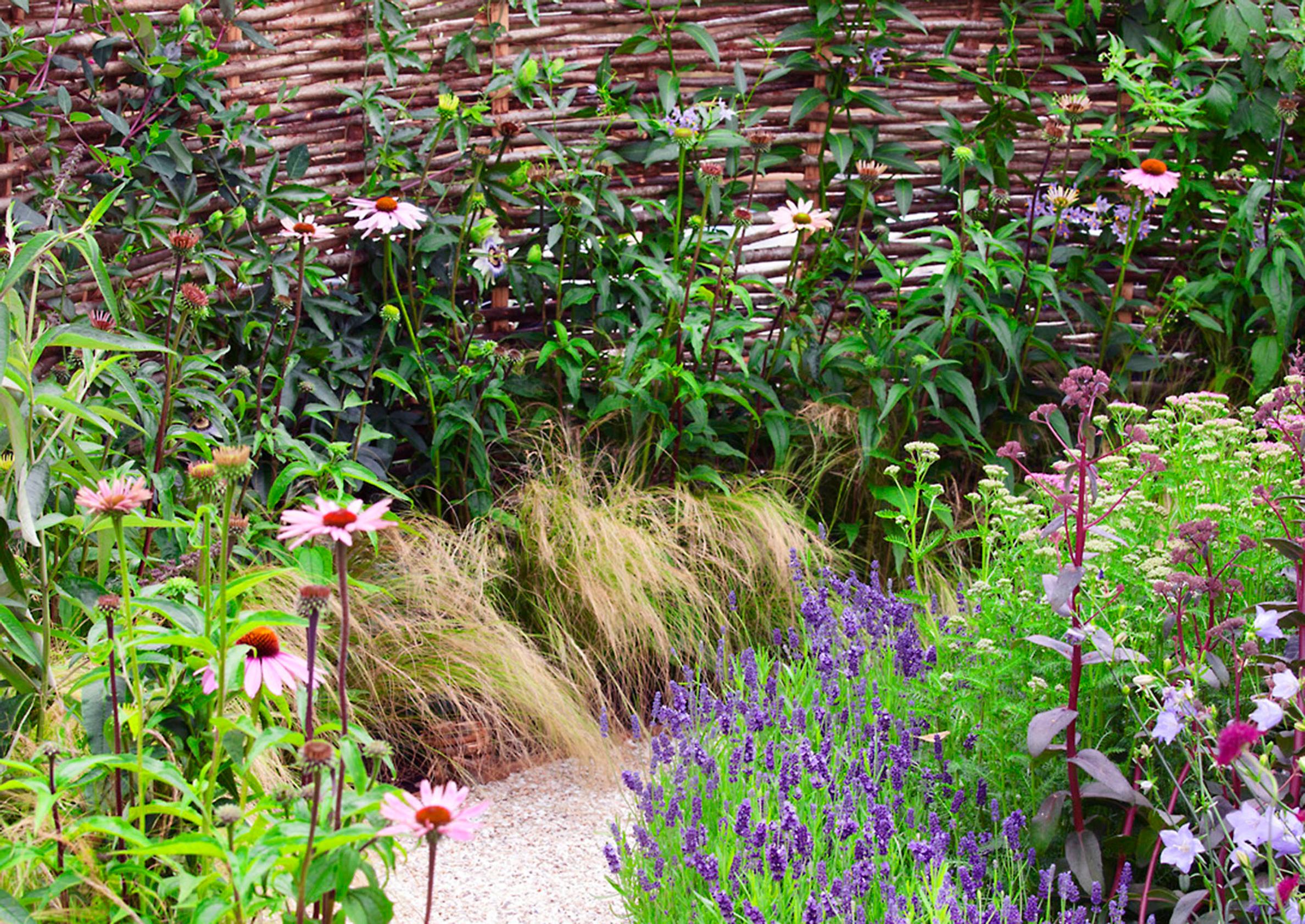 garden screen ideas
