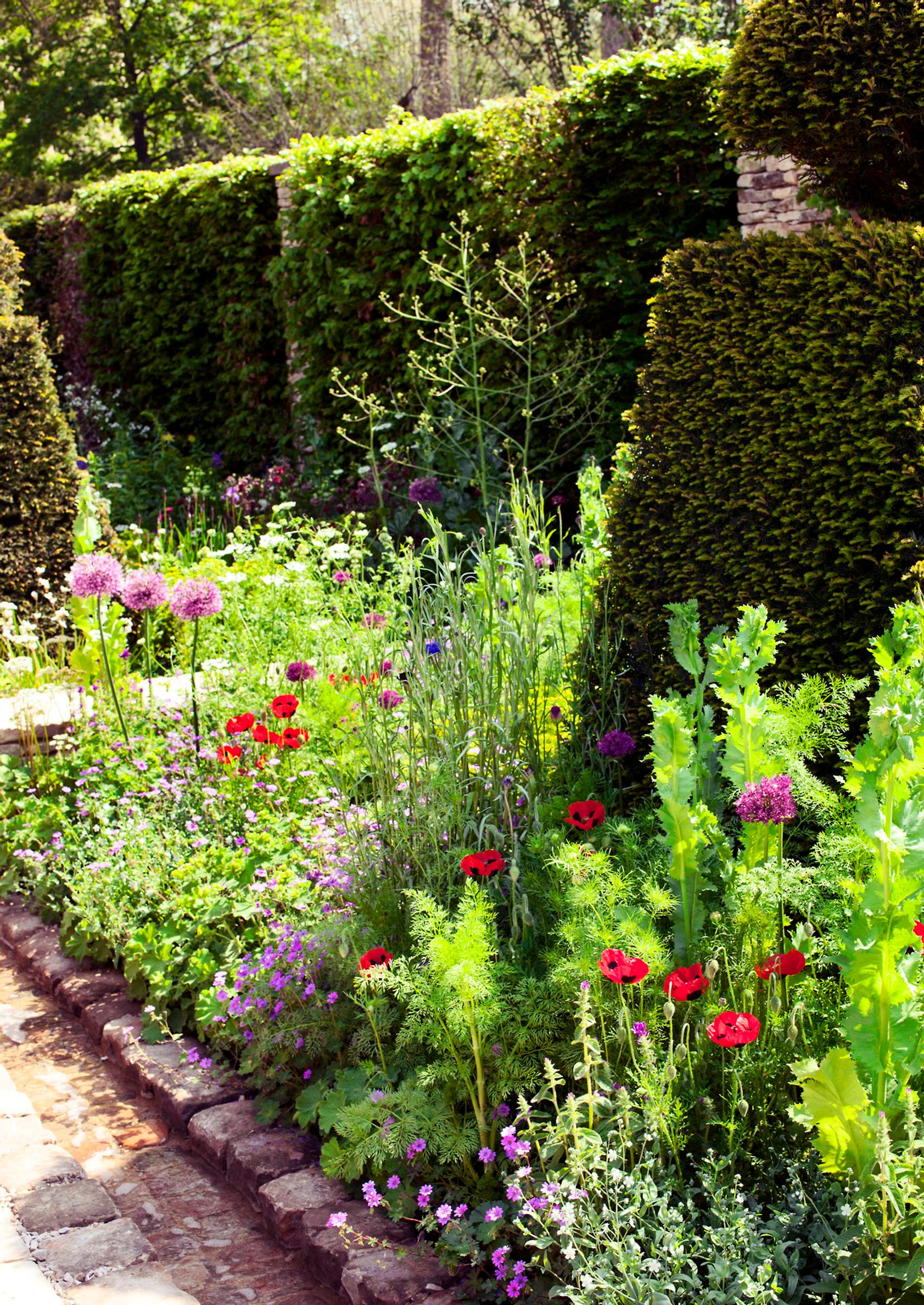 garden screen ideas