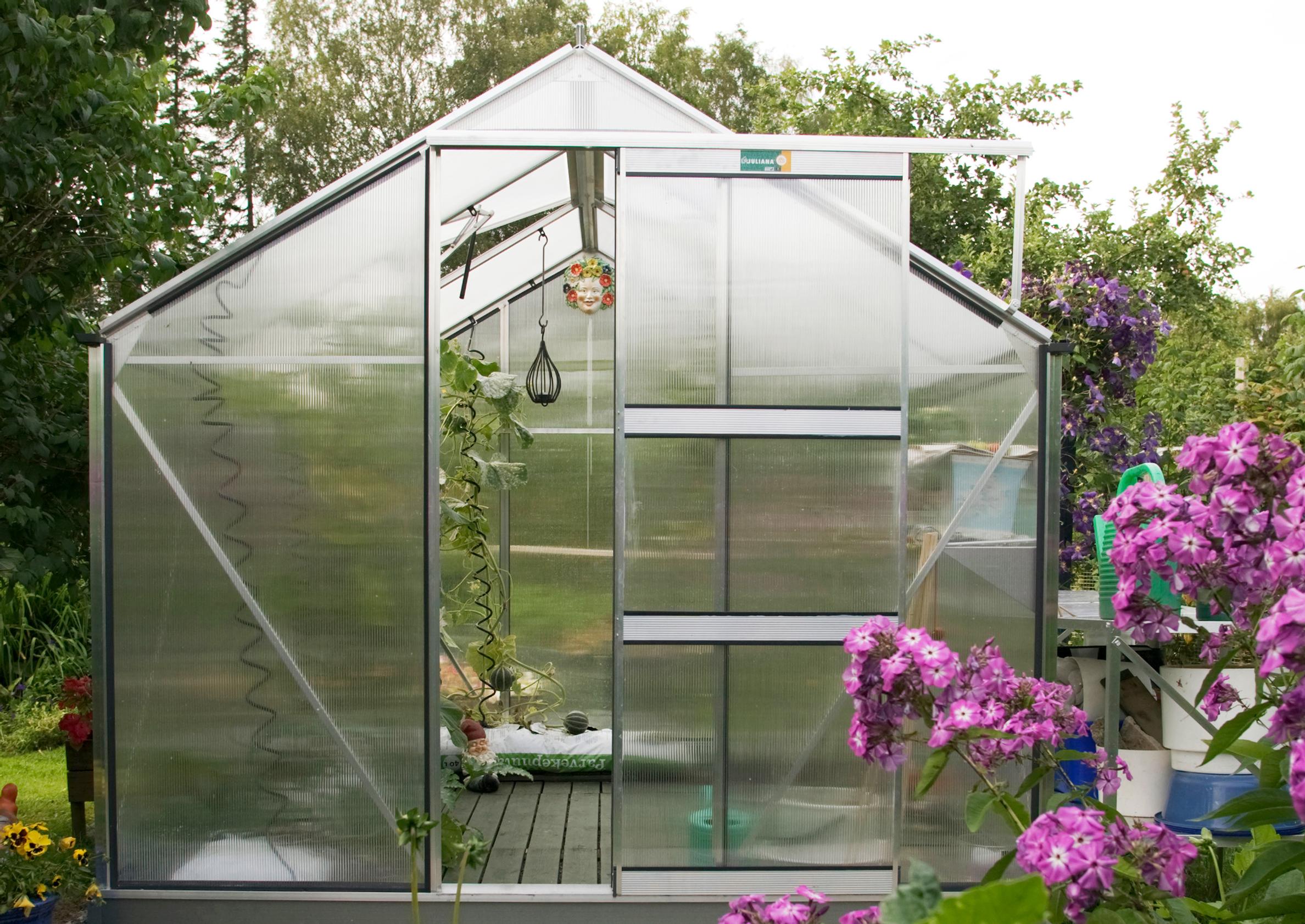 The perfect greenhouse: expert tips for selection and maintenance