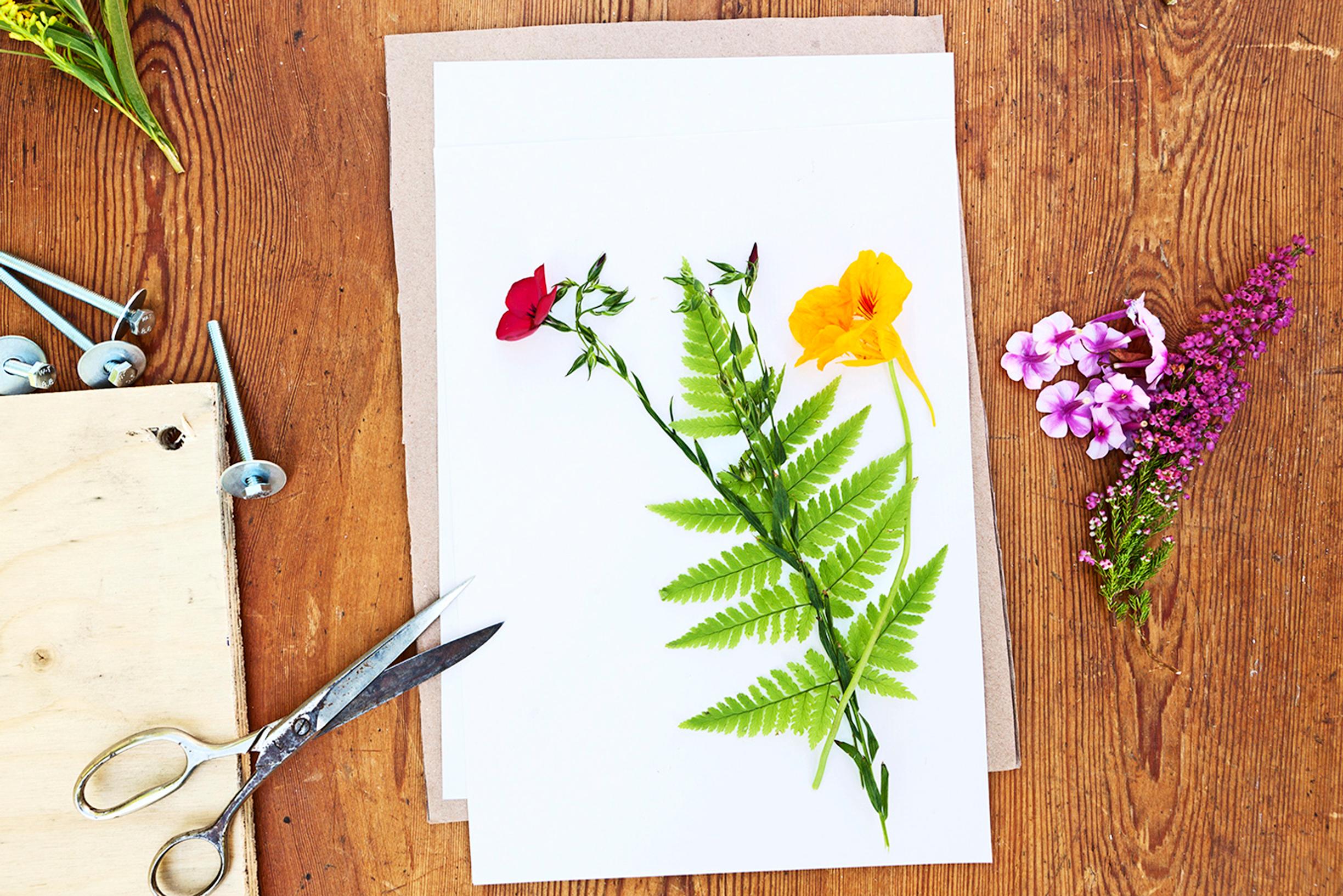 Capture the season’s loveliest flowers and leaves in frames—here’s how to make an easy plant press