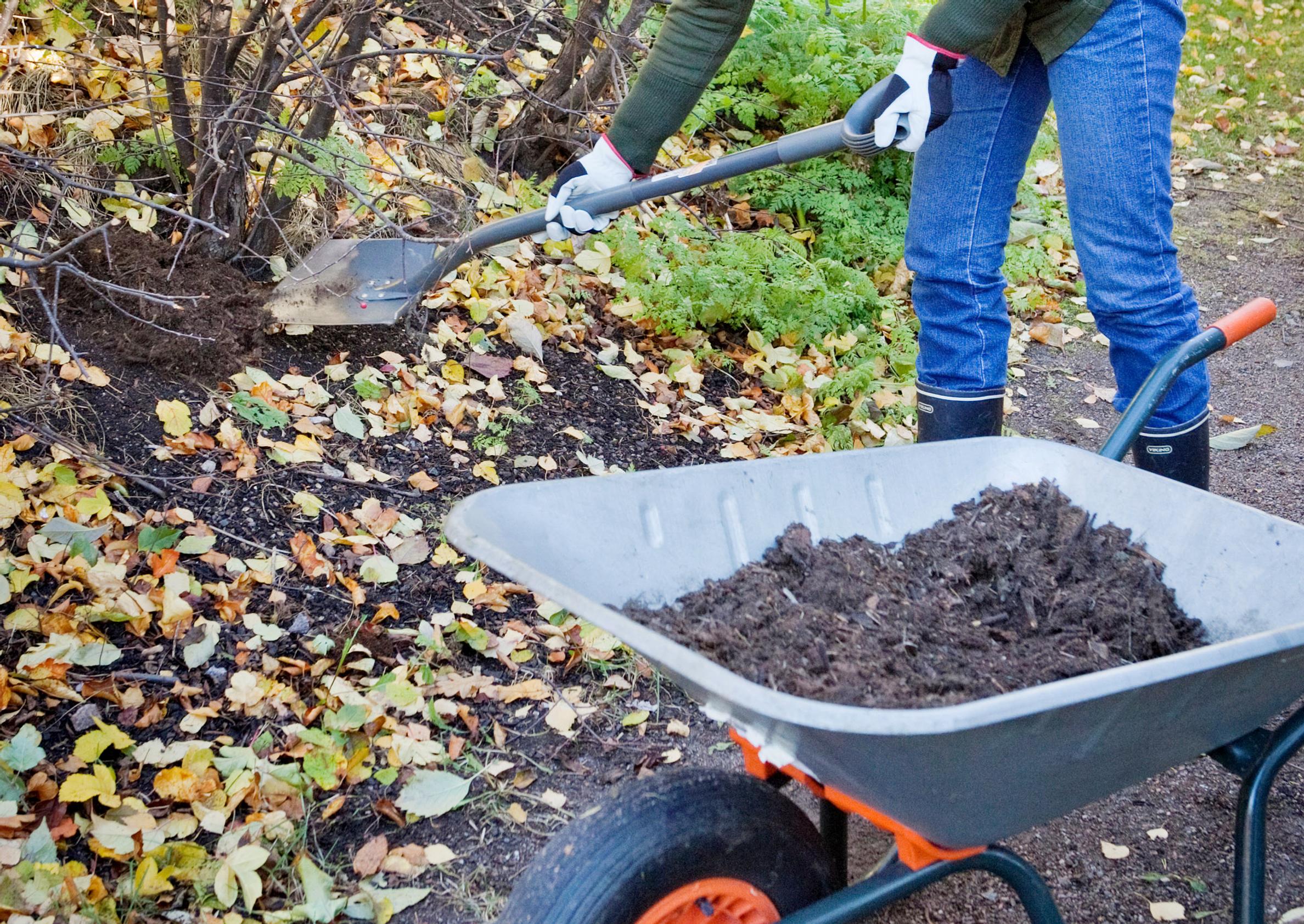 Clear out and rebuild your compost this fall