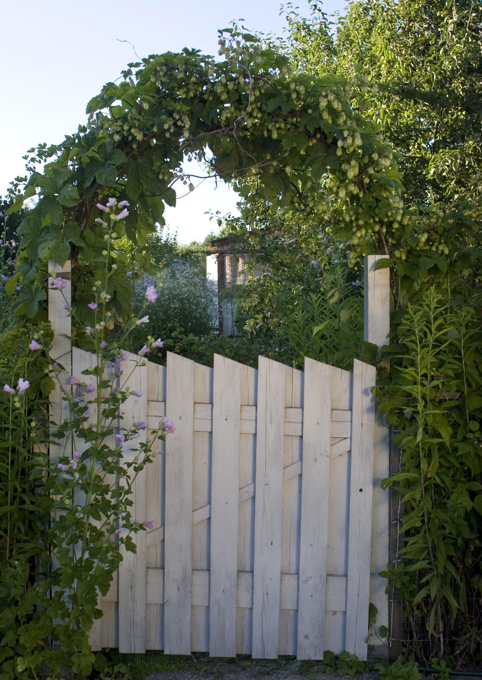 garden gate ideas