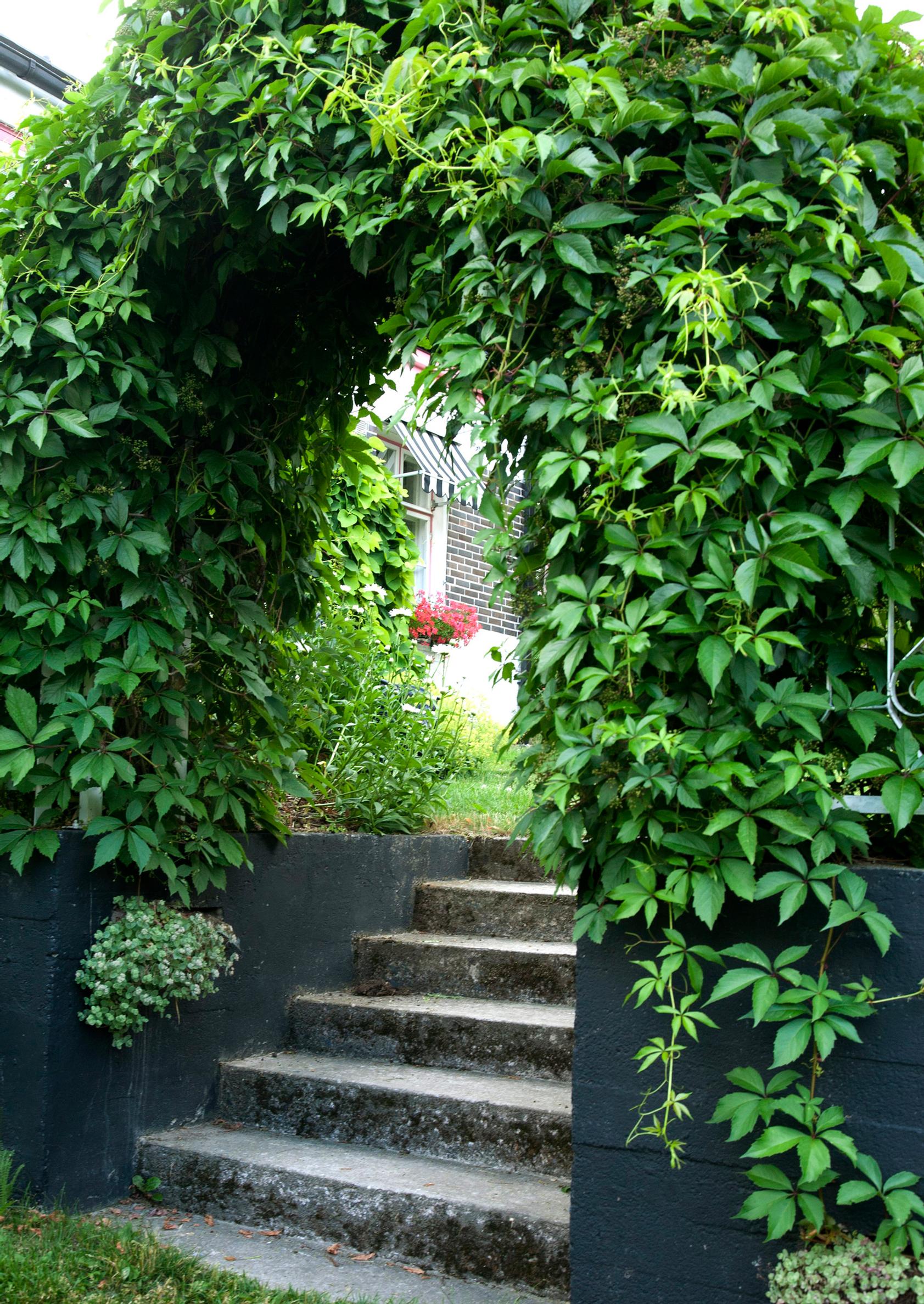 garden gate ideas